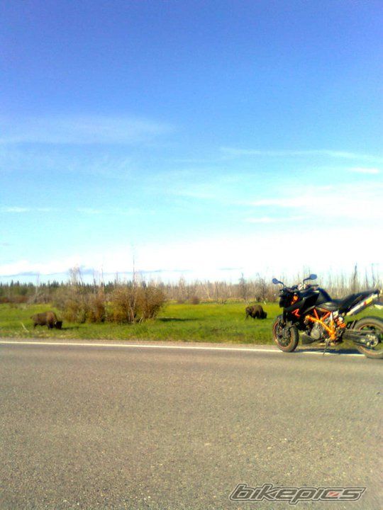 Photo 2245545
