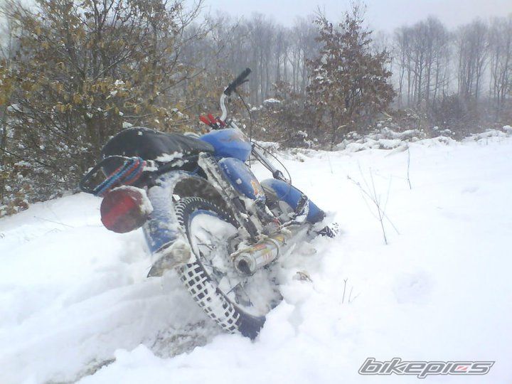 Photo 2245573