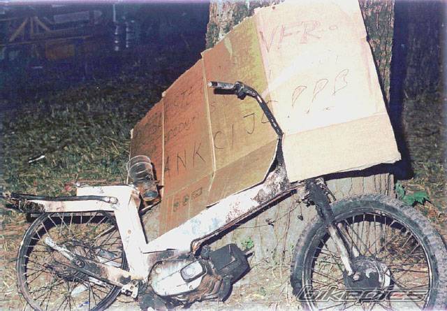 Photo 224566
