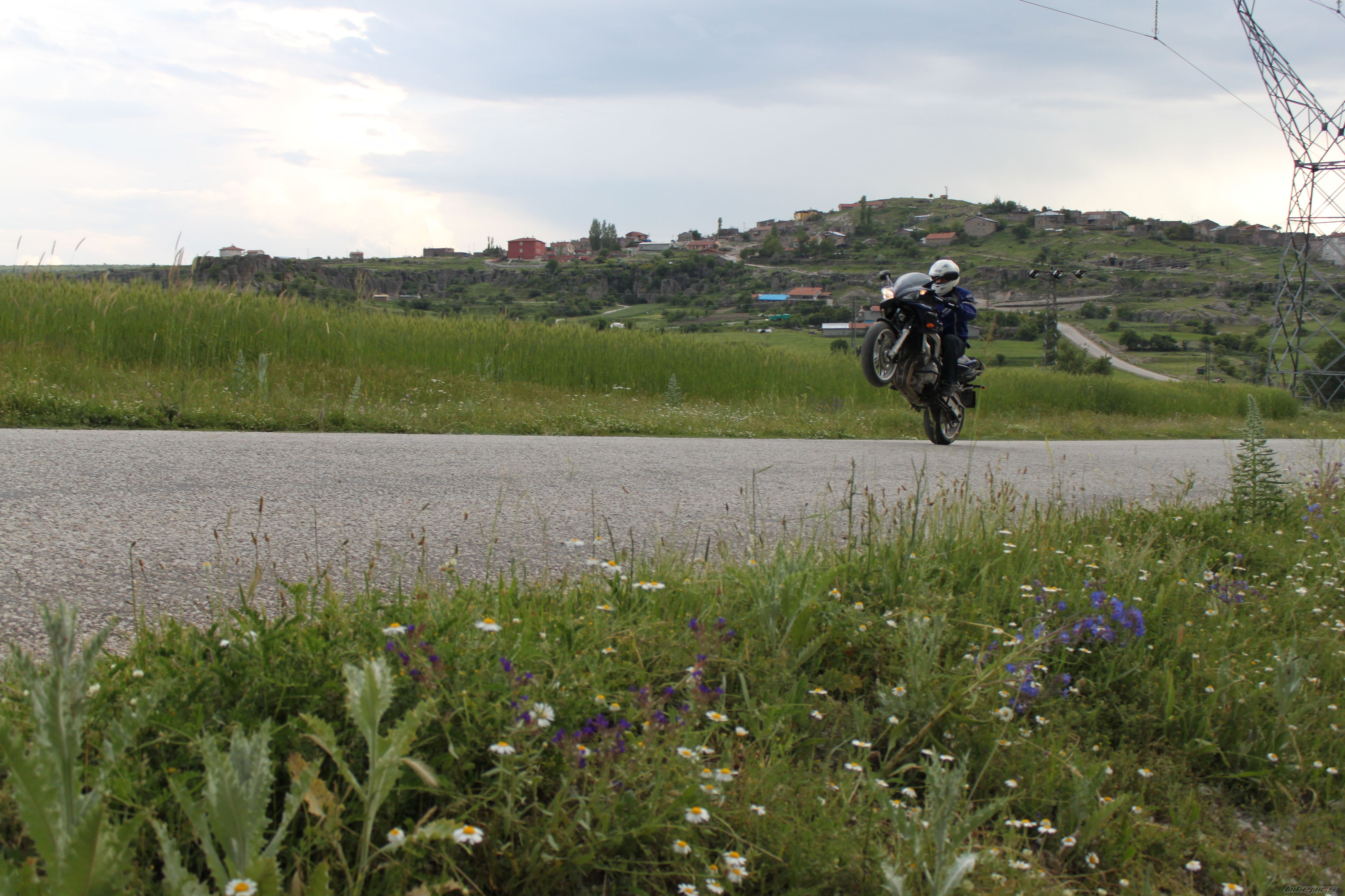 Photo 2245730