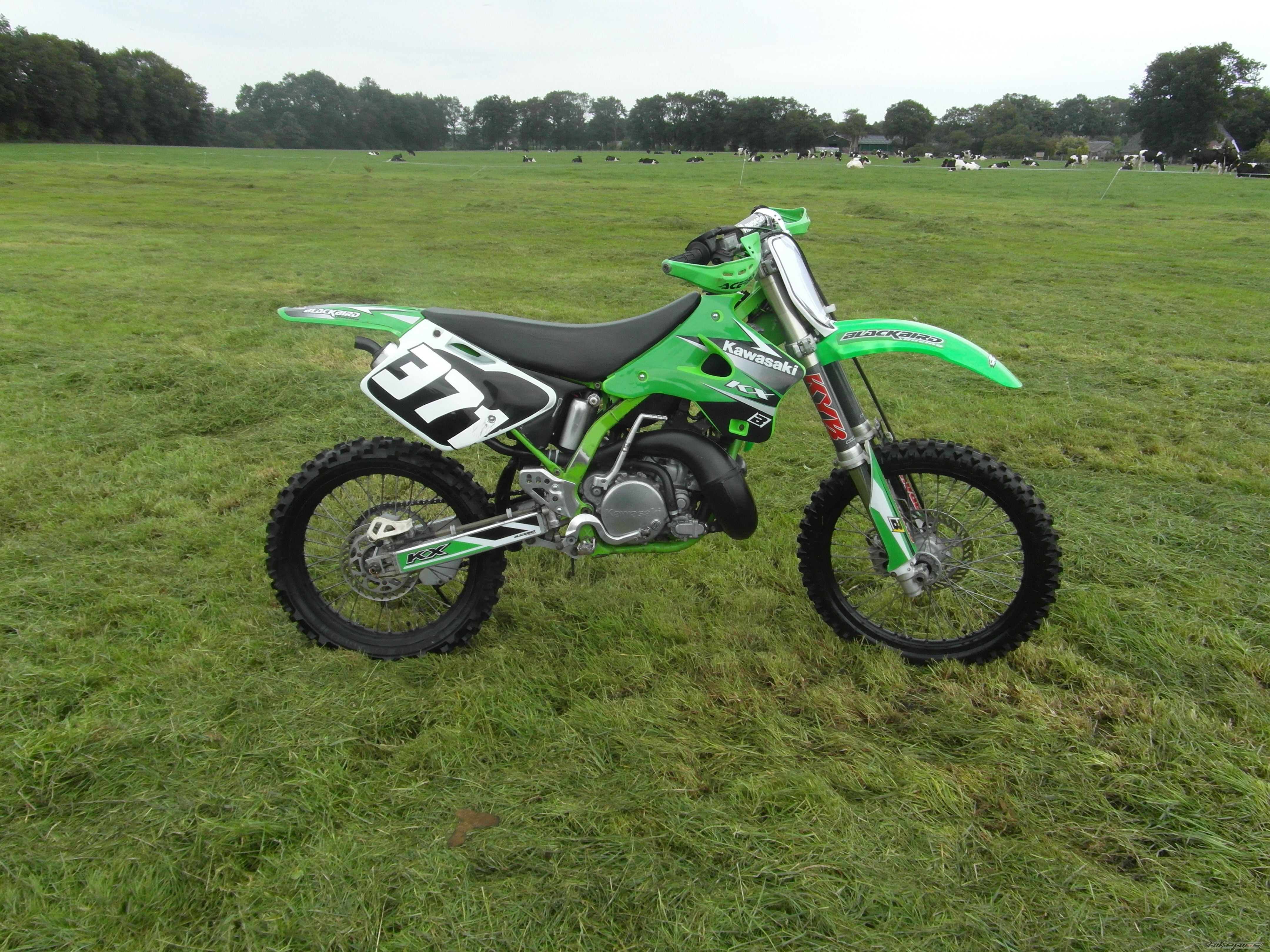 Photo 2245829