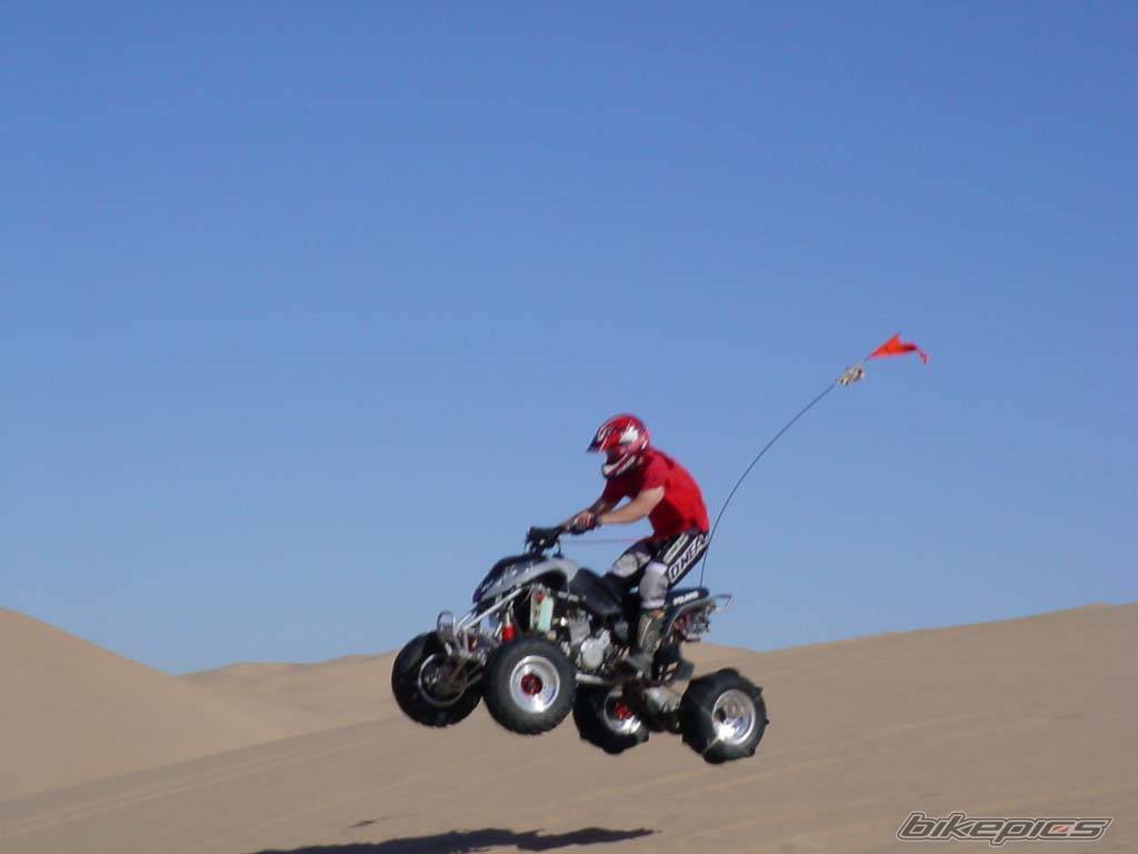 Photo 224586