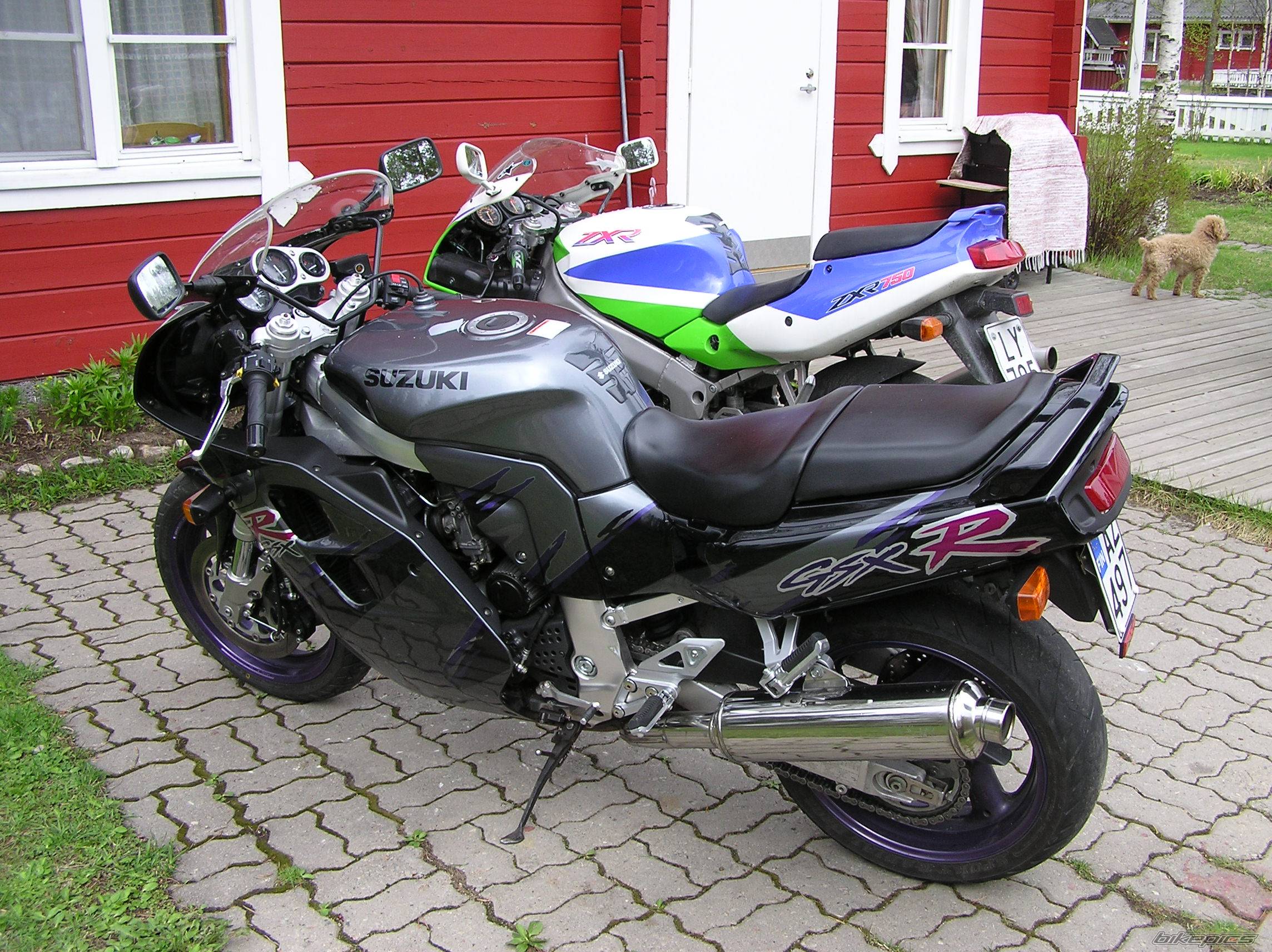 Photo 224588