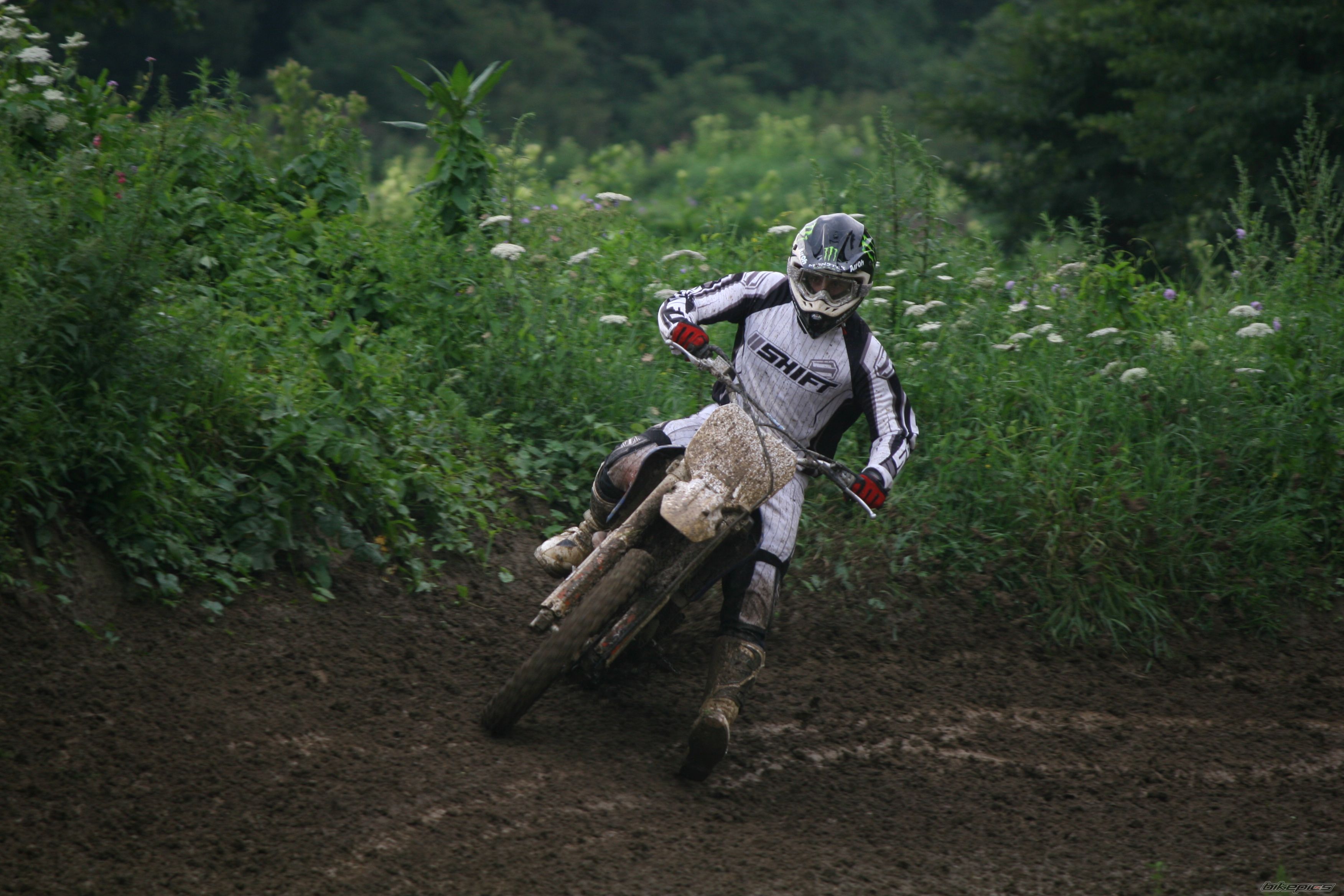 Photo 2245894