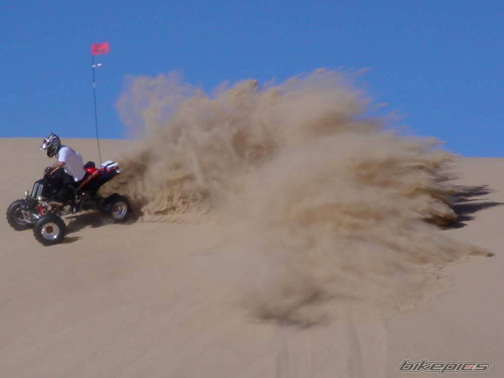 Photo 224591