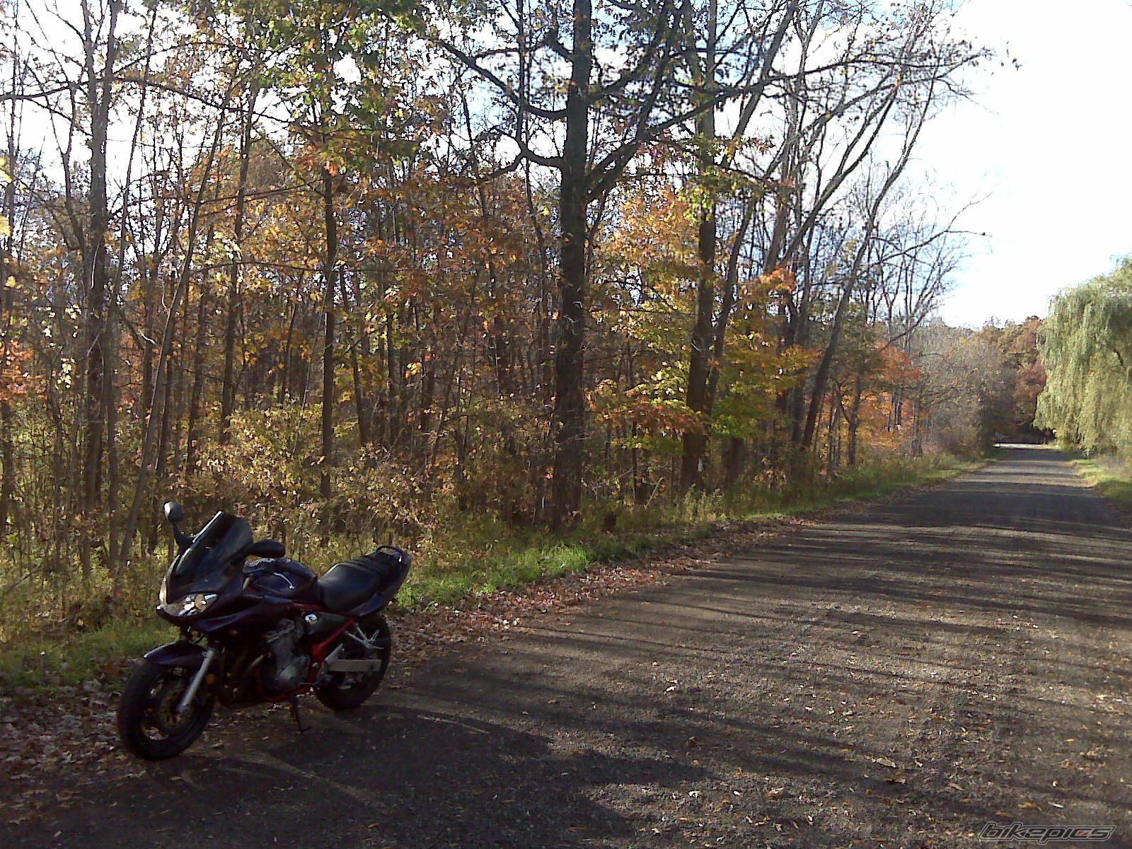 Photo 2245953