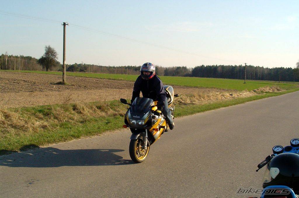 Photo 224596