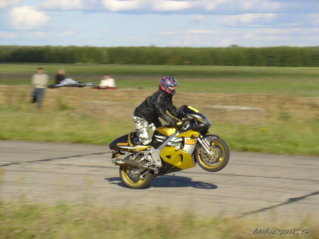 Photo 224598