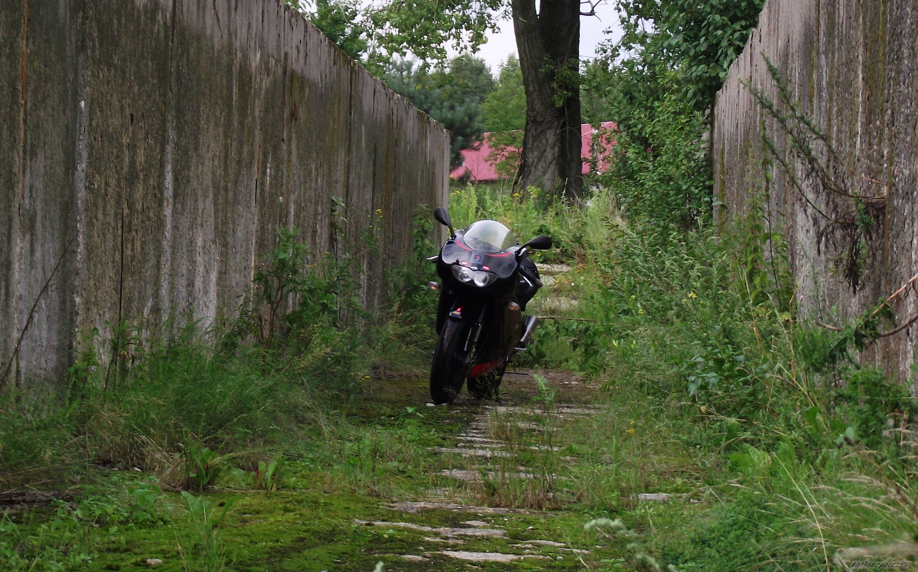 Photo 2246078