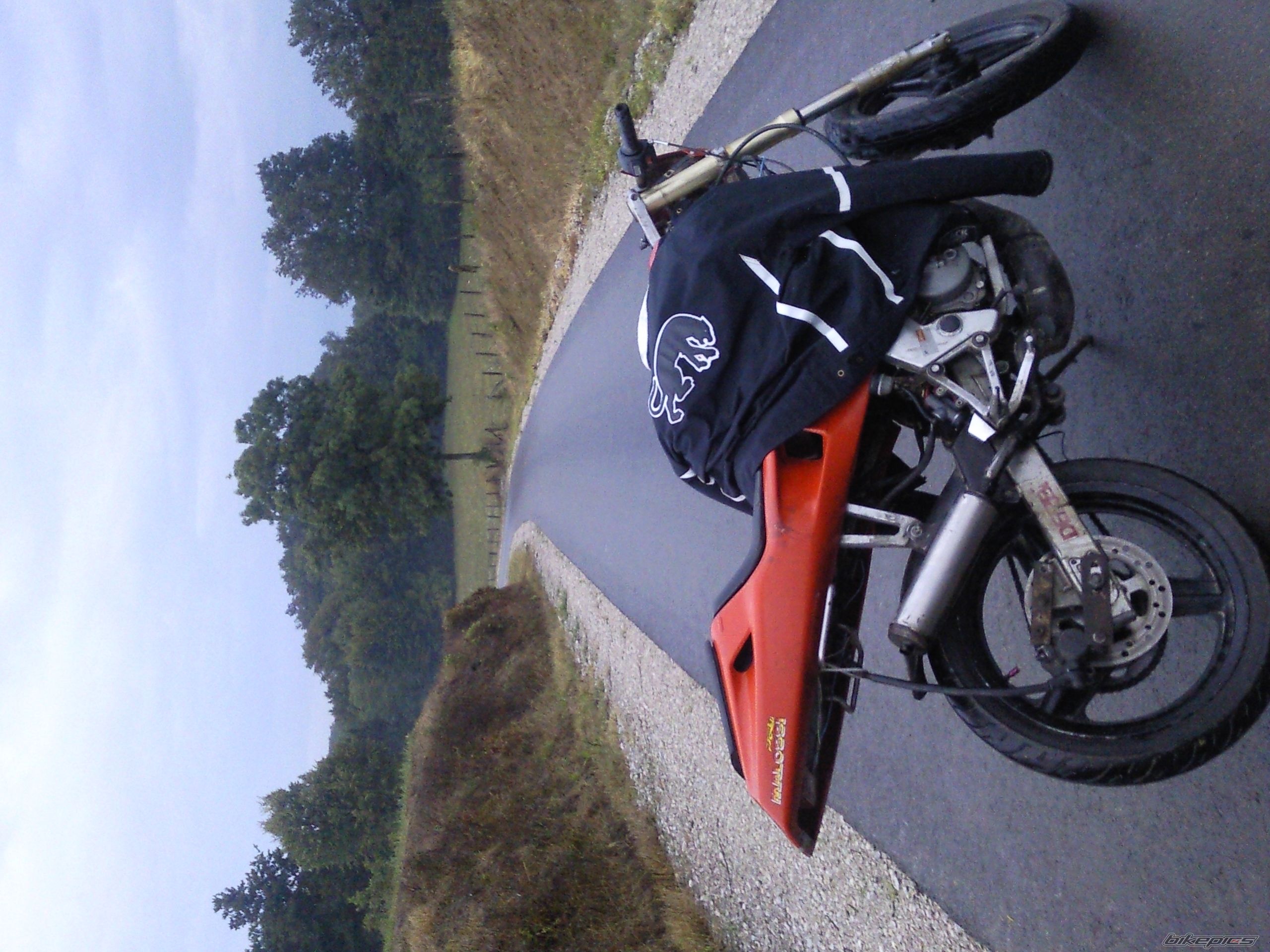 Photo 2246367