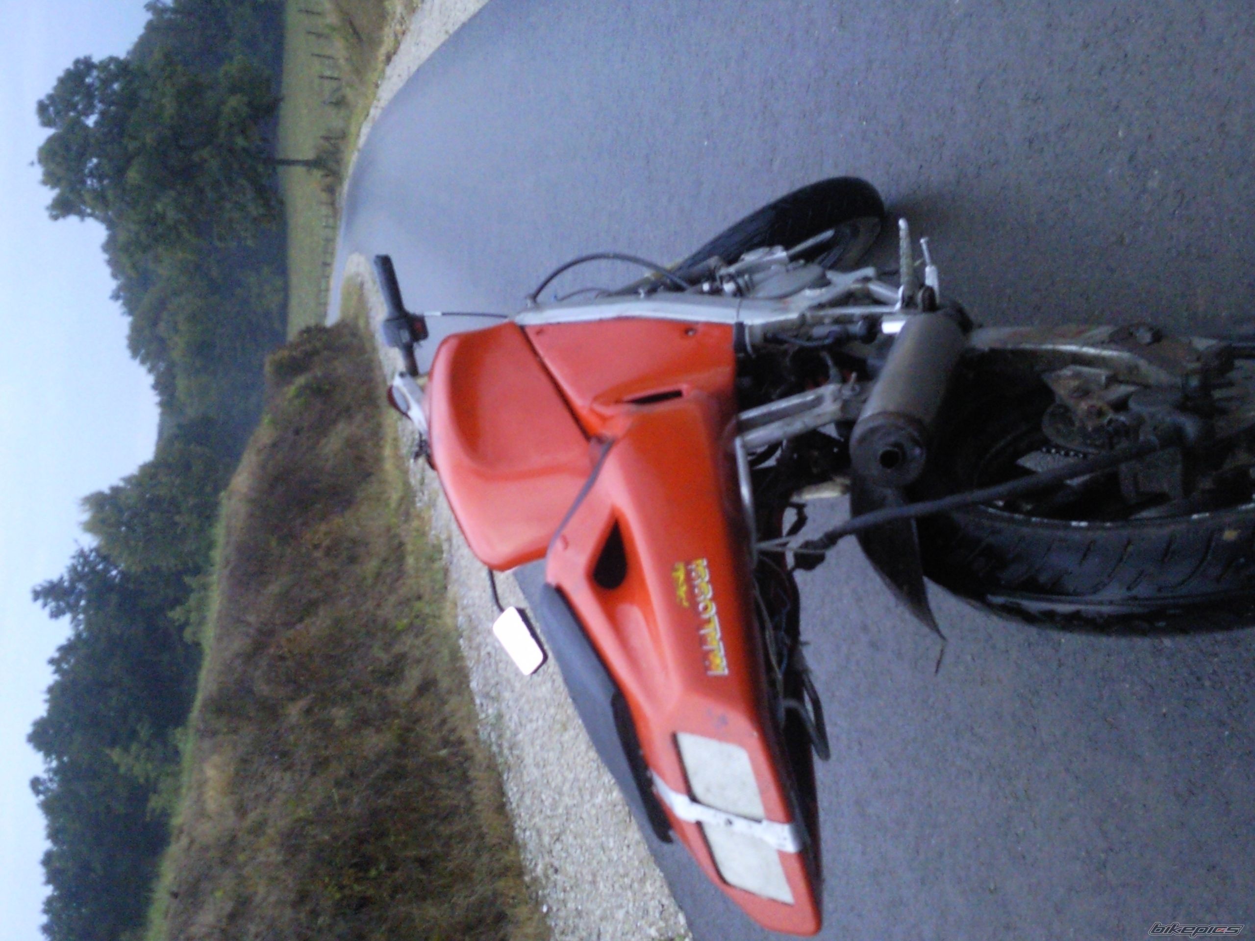Photo 2246369