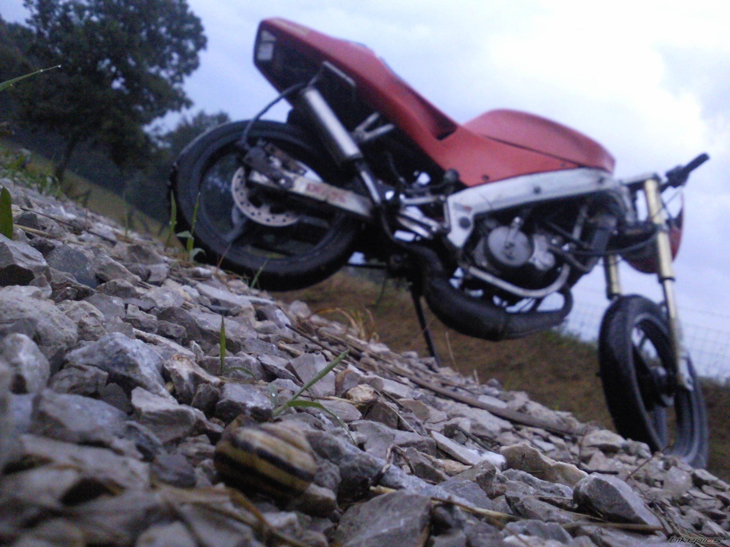 Photo 2246371