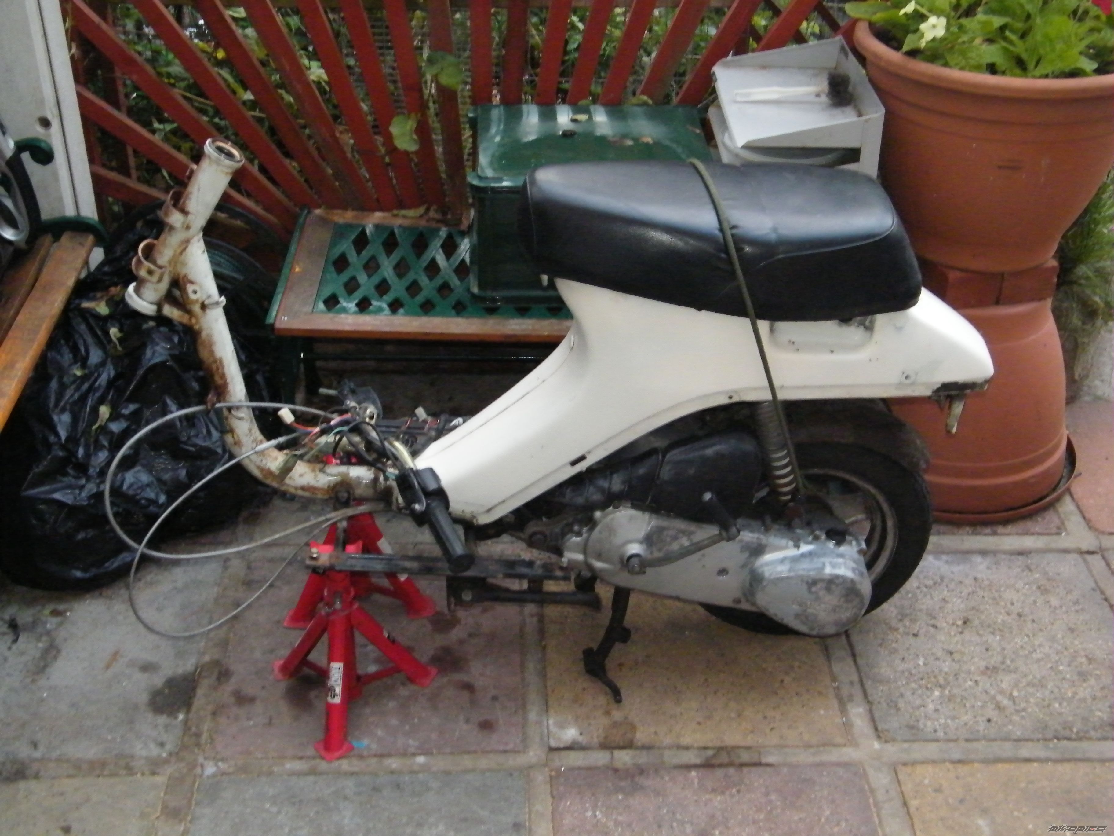 Photo 2246515
