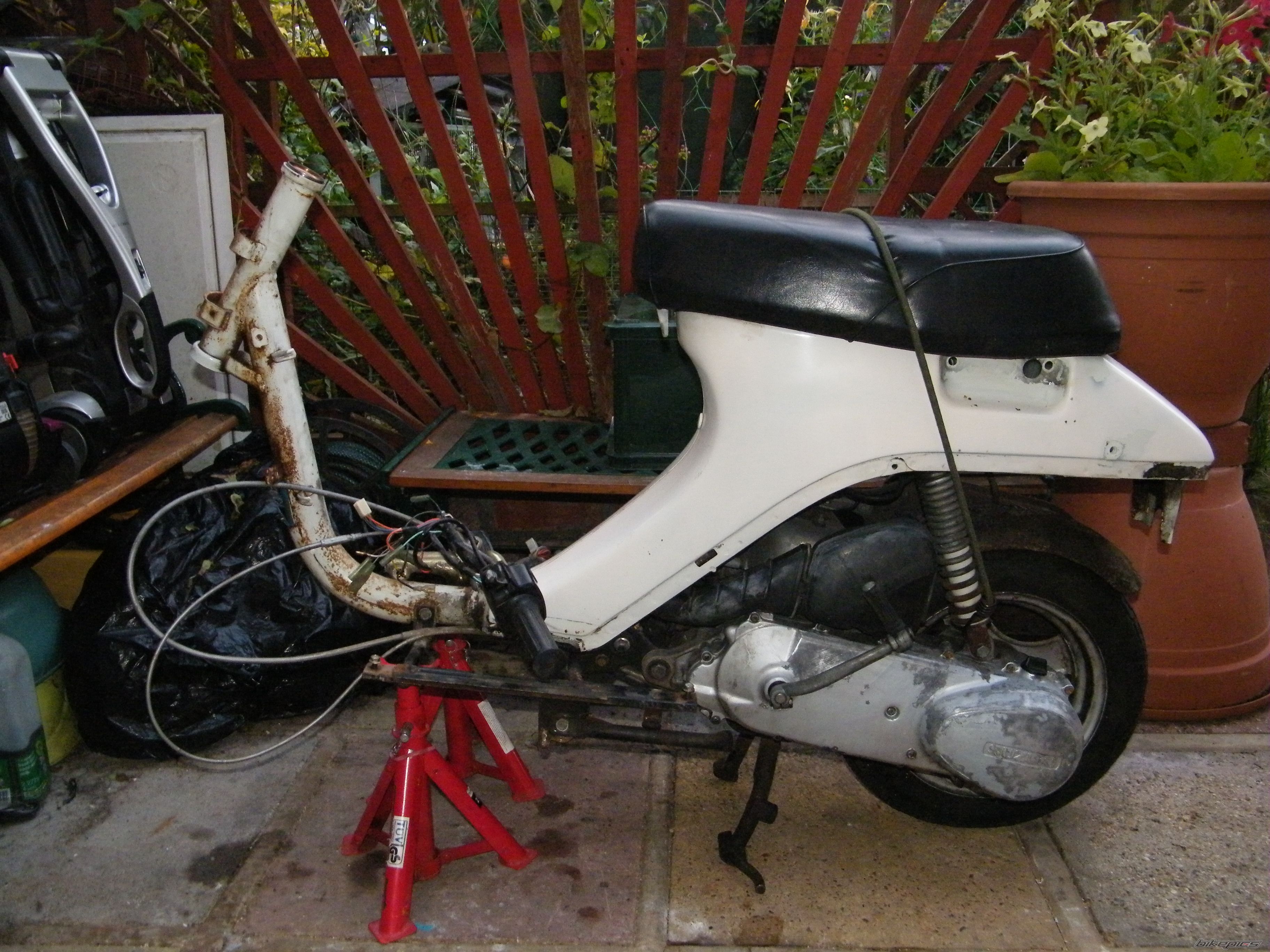 Photo 2246516