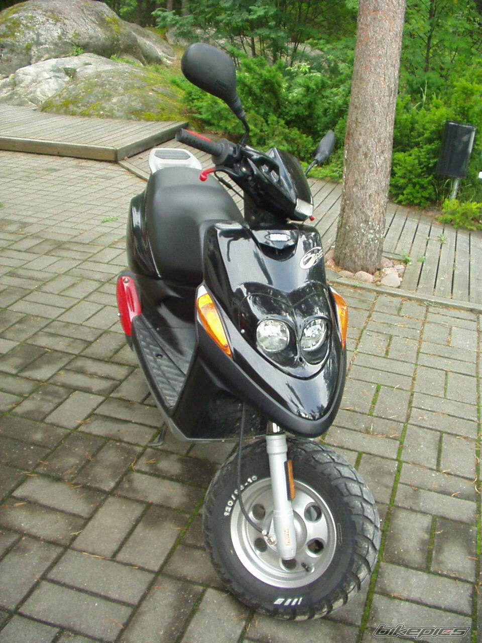 Photo 224652
