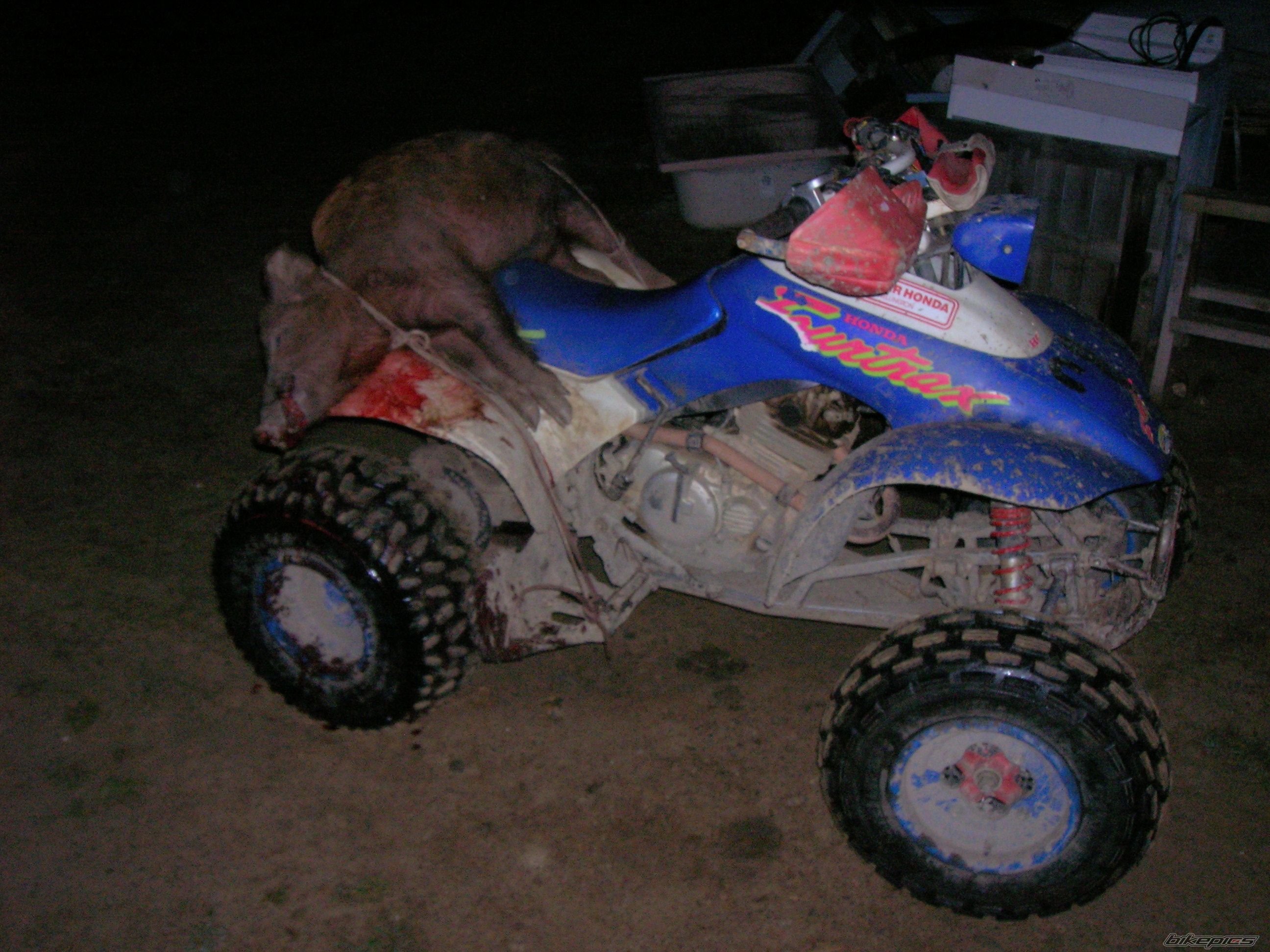 Bike Photo 2246523