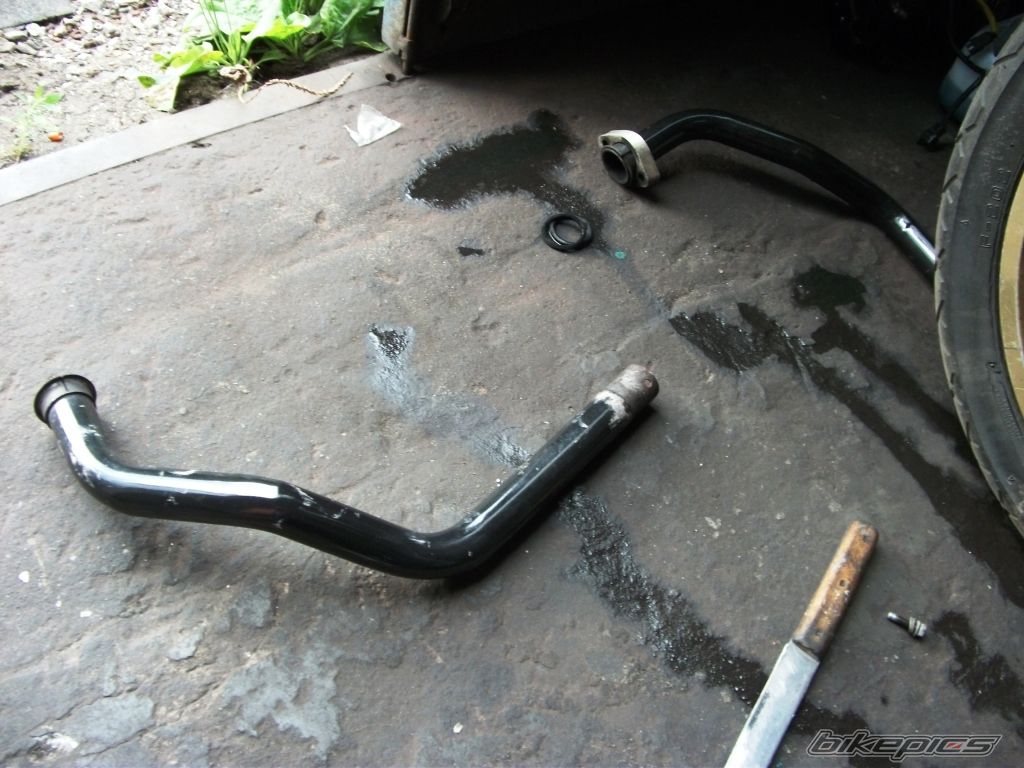 Photo 2246608