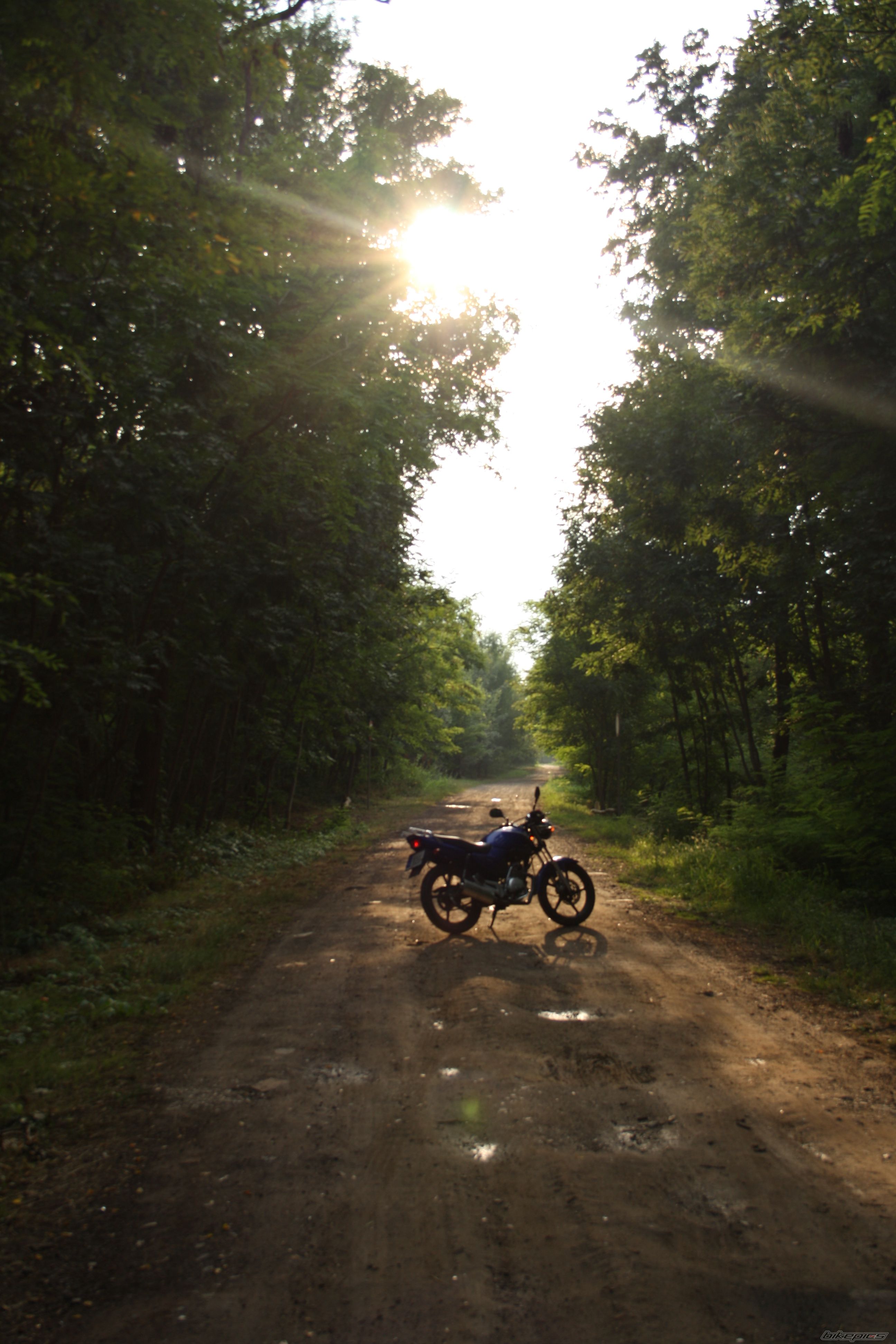 Photo 2246690