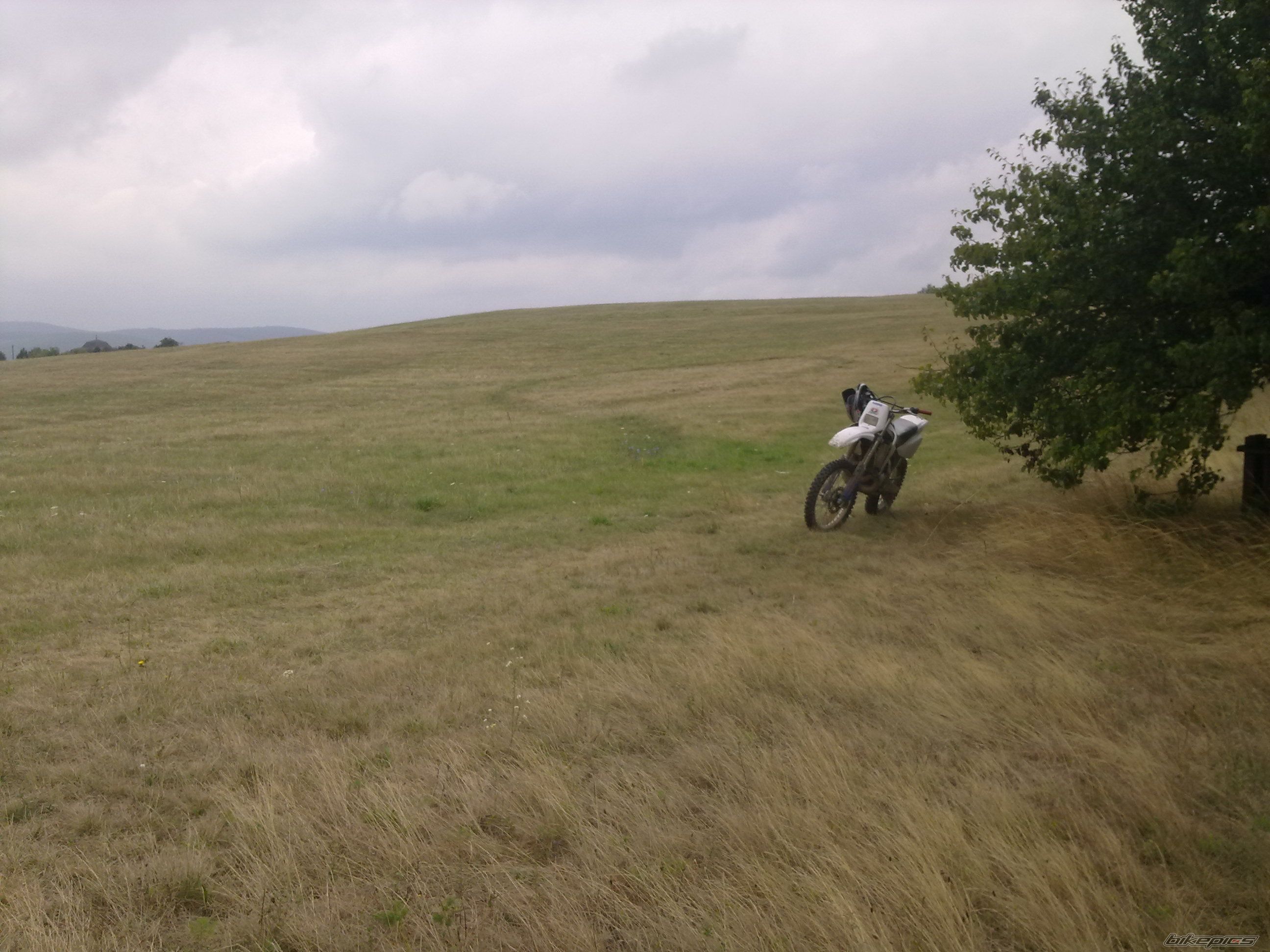 Photo 2246862