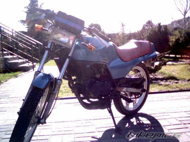 Photo 224697