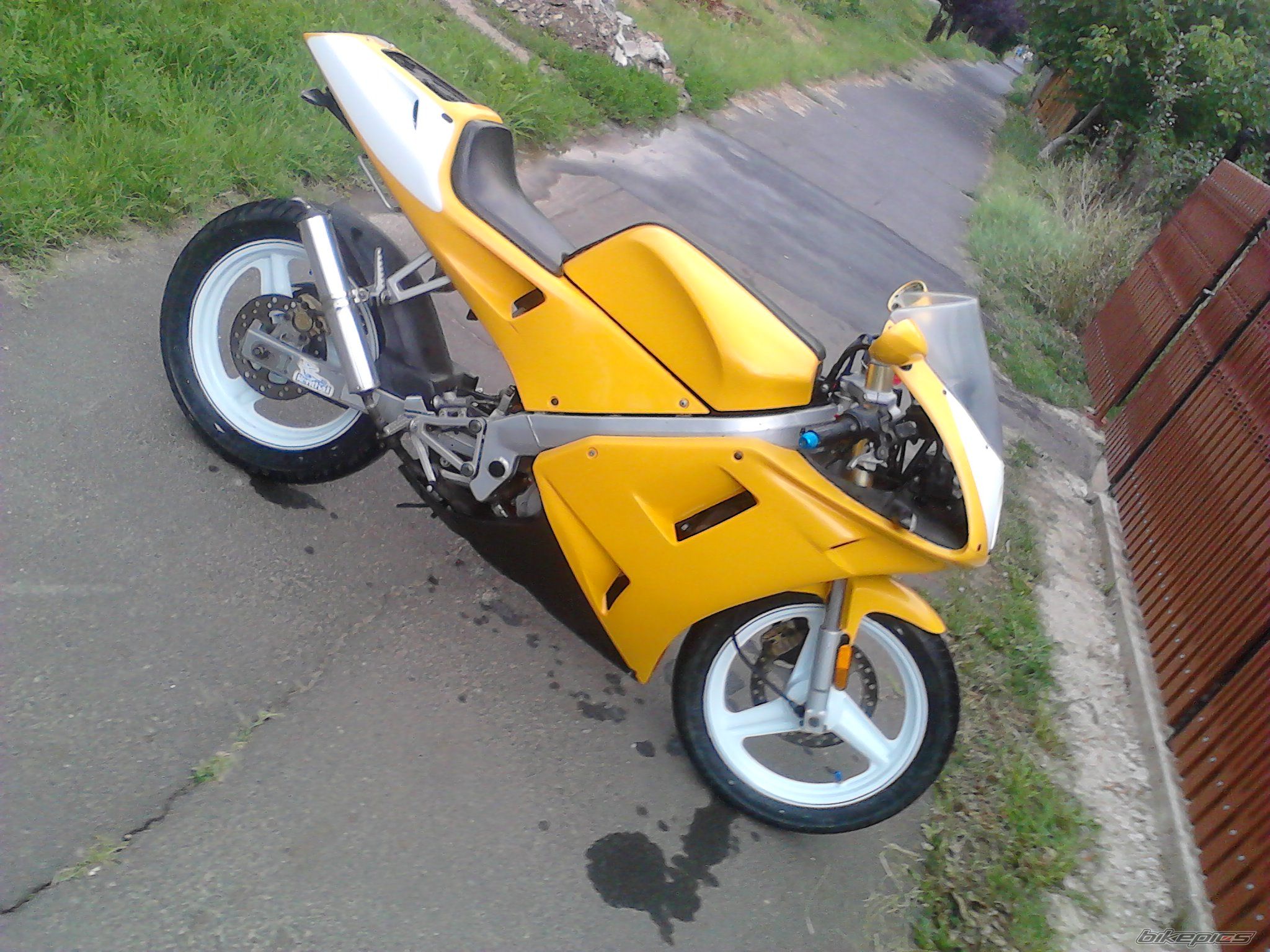 Photo 2247021