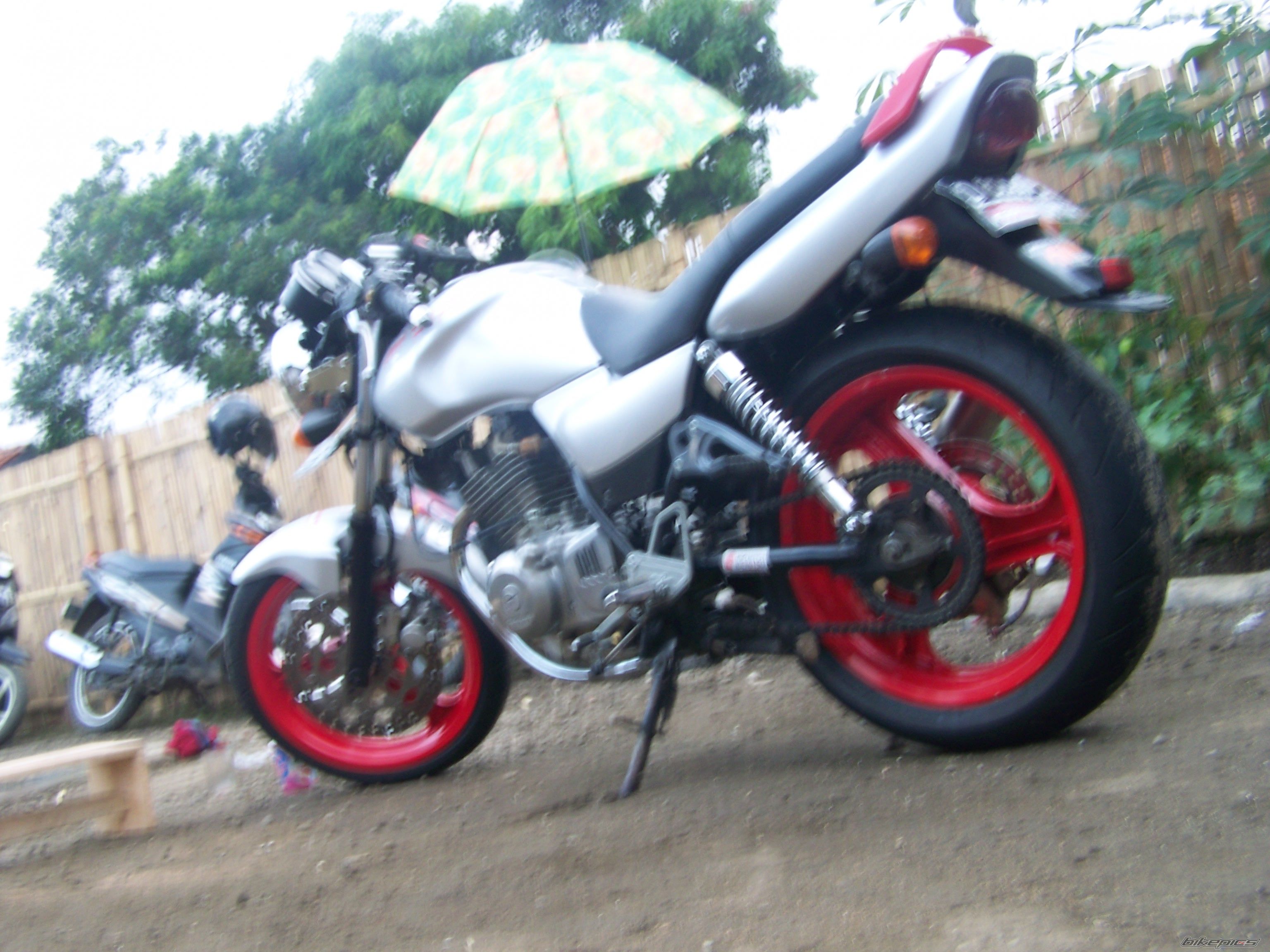 Photo 2247028