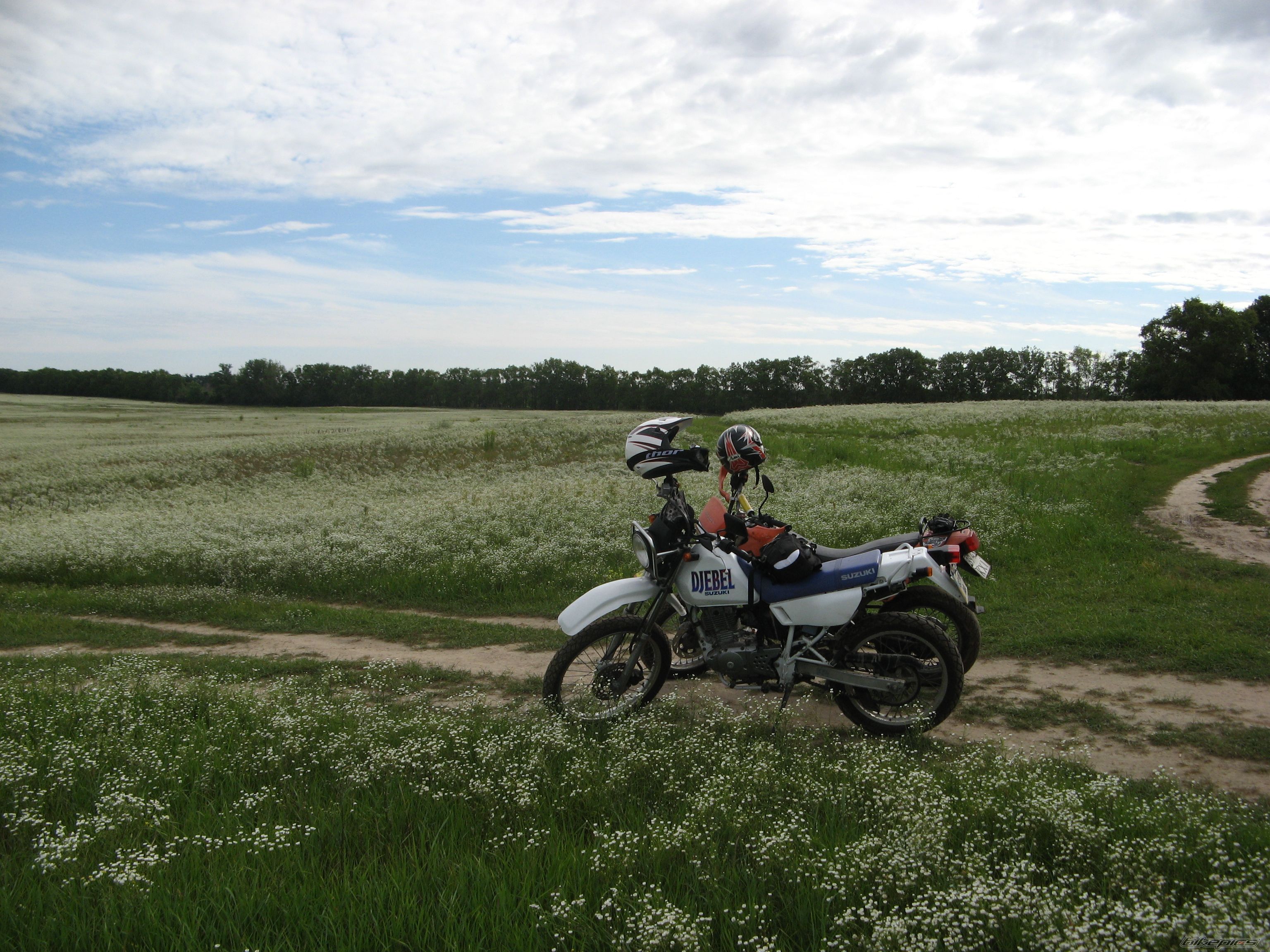 Photo 2247107