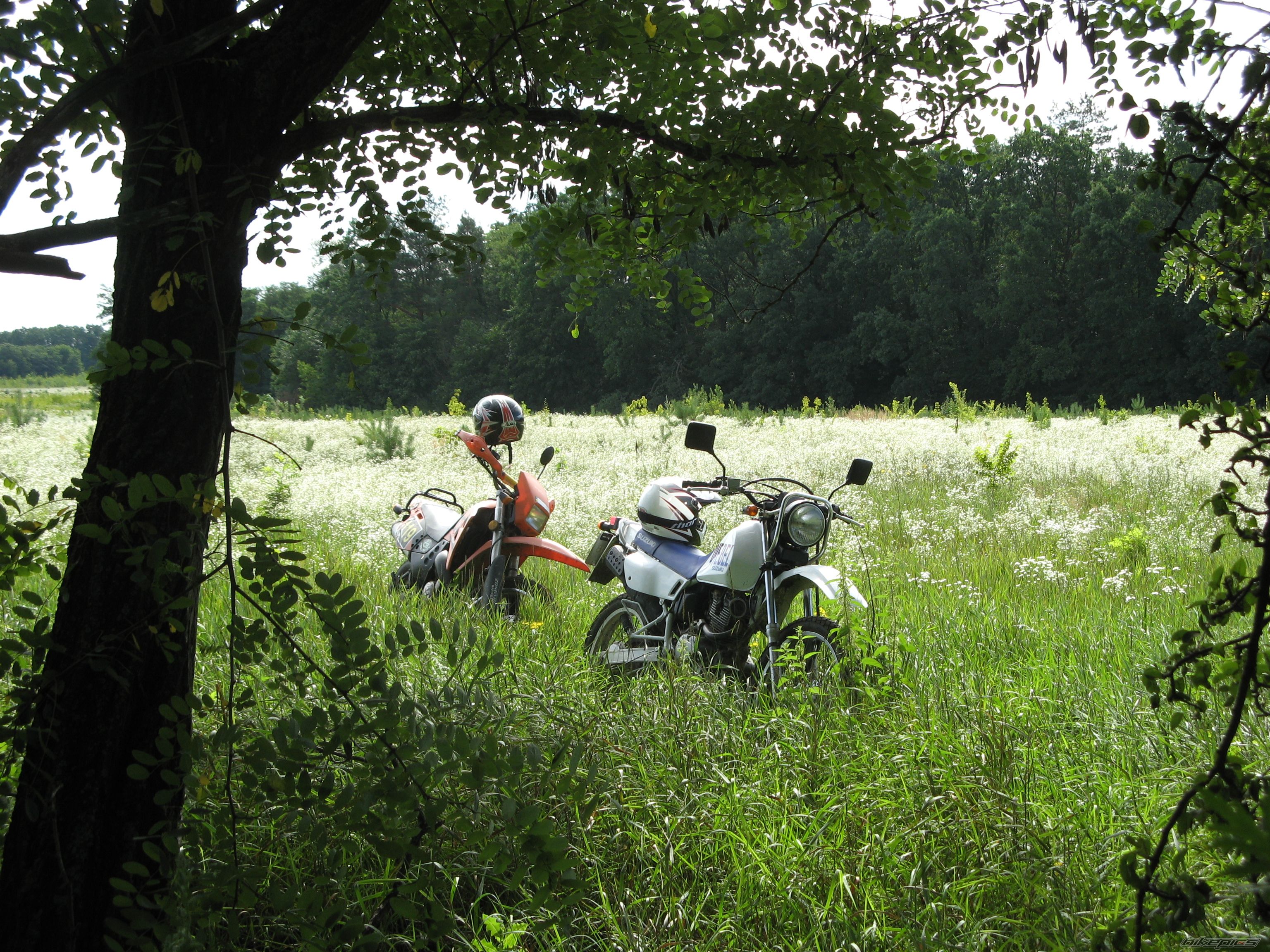 Photo 2247110
