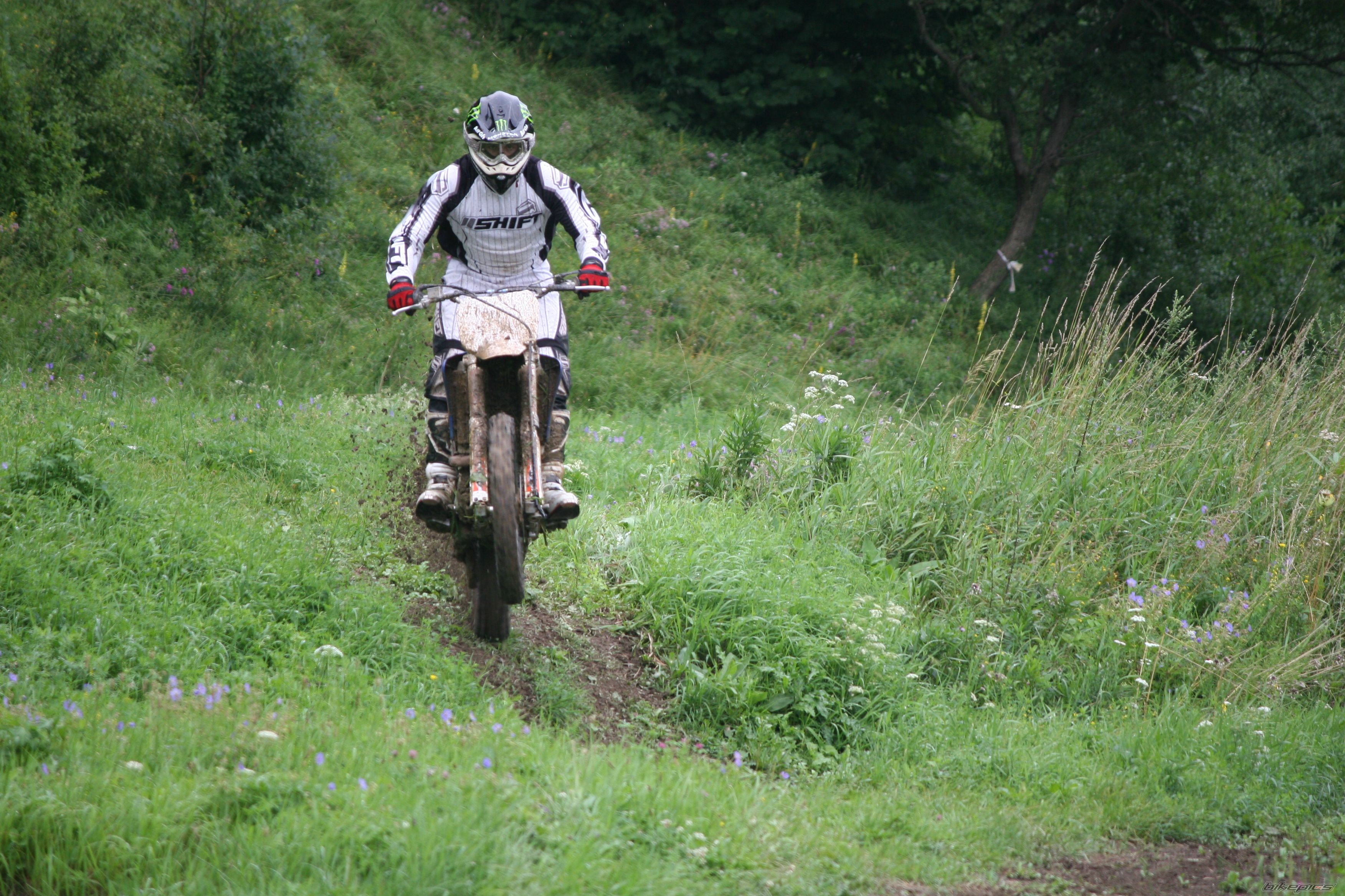 Photo 2247119