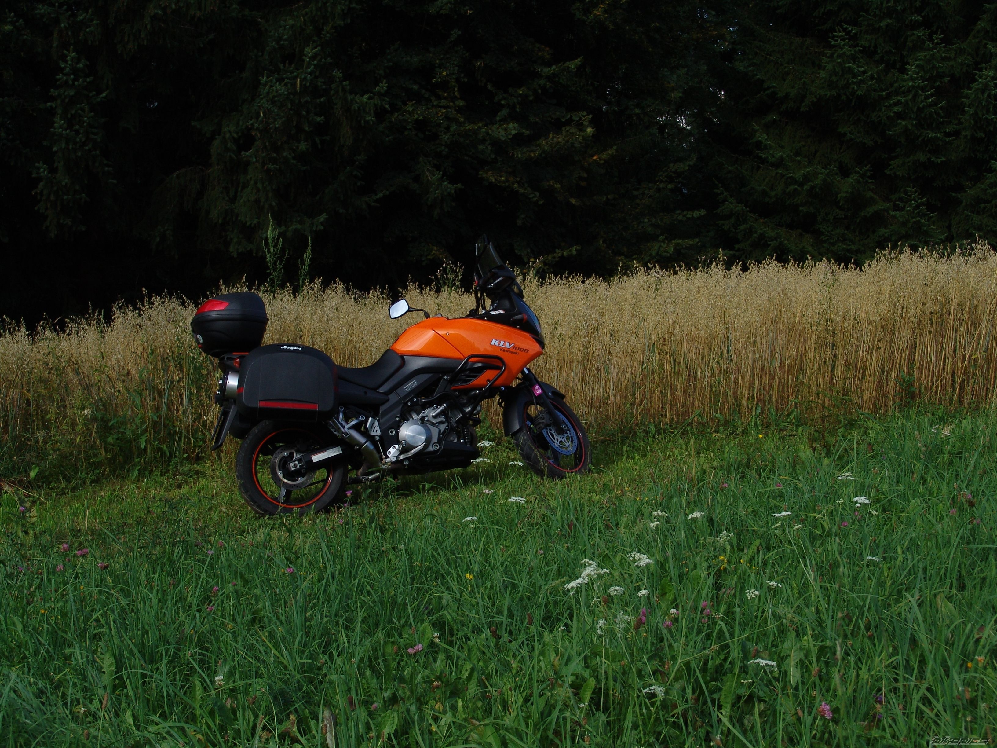 Photo 2247260