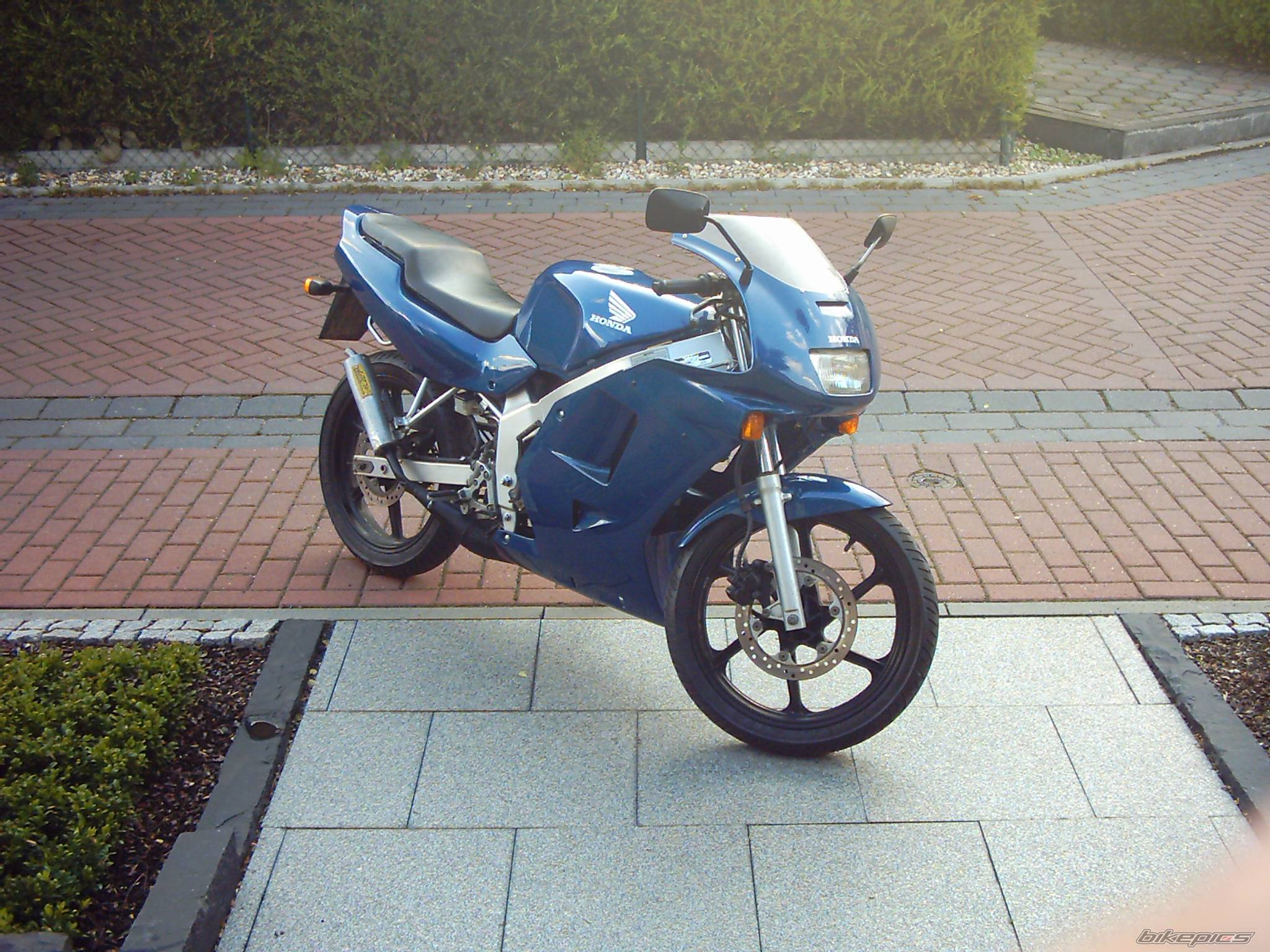 Photo 224729