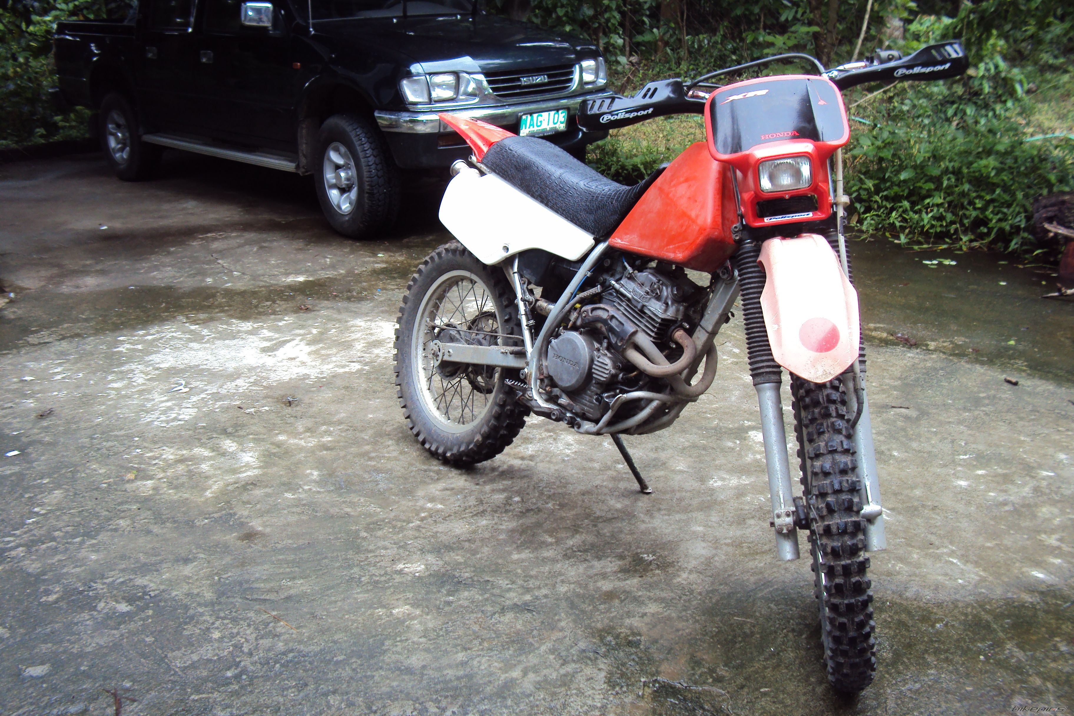 Photo 2247298
