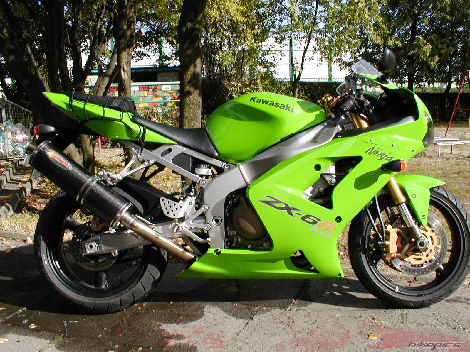 Photo 224730