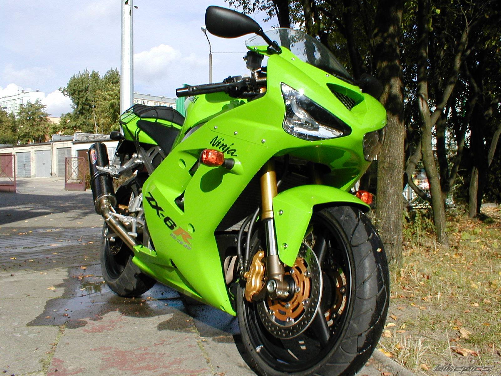 Photo 224731