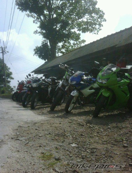 Photo 2247450