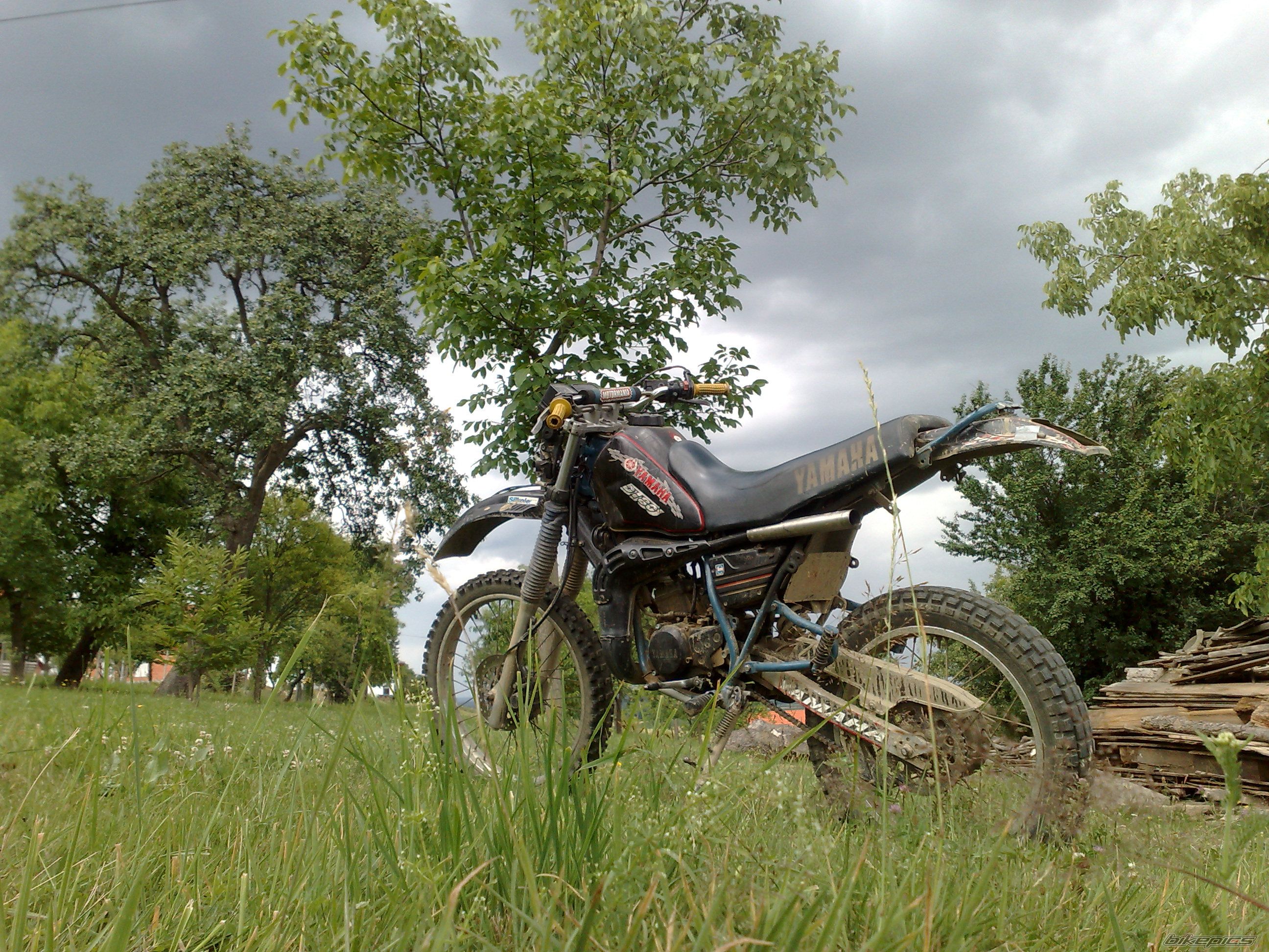 Photo 2247462