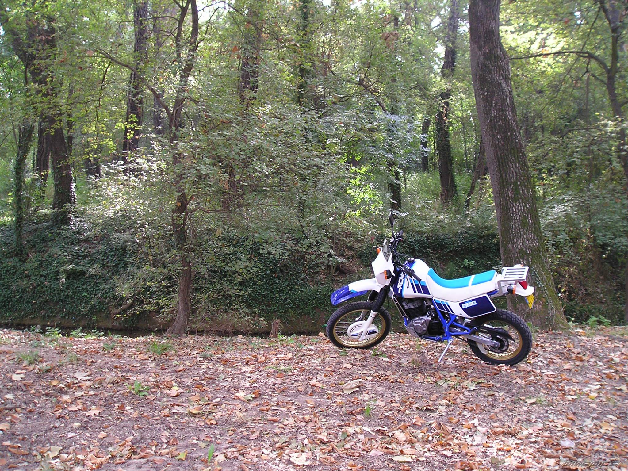 Bike Photo 224749