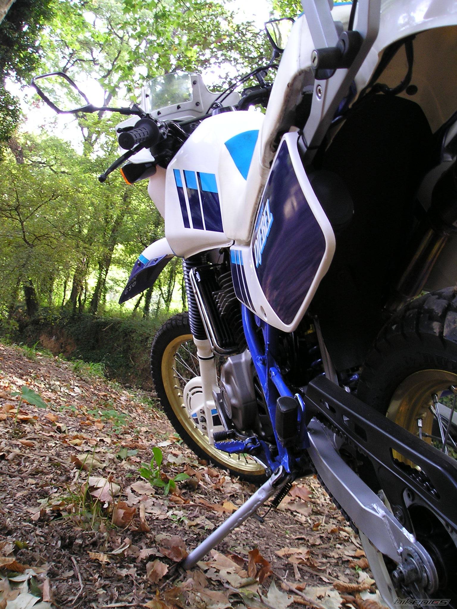 Photo 224751