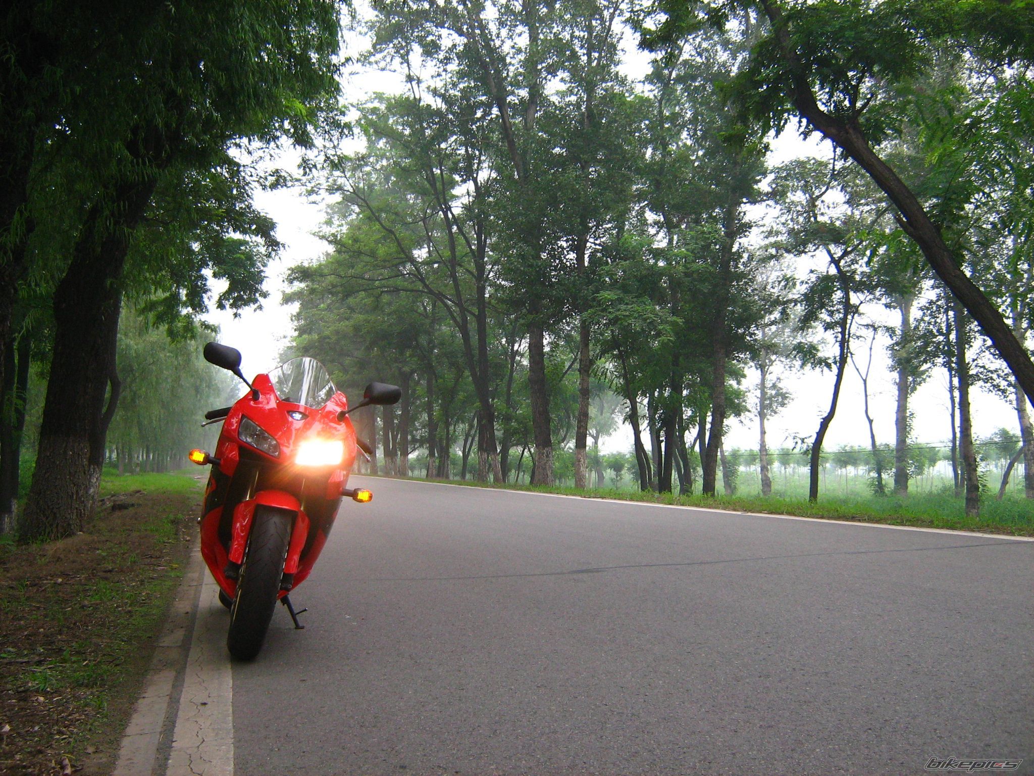 Photo 2247518