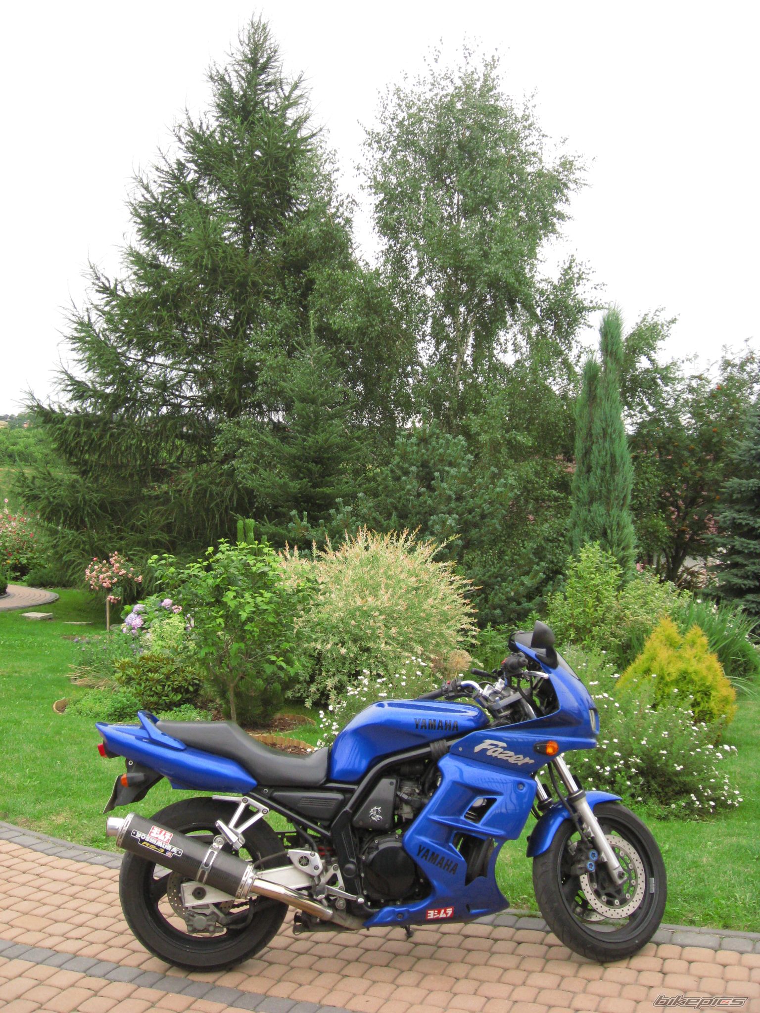 Photo 2247621