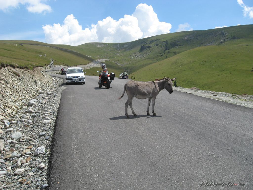 Photo 2247734