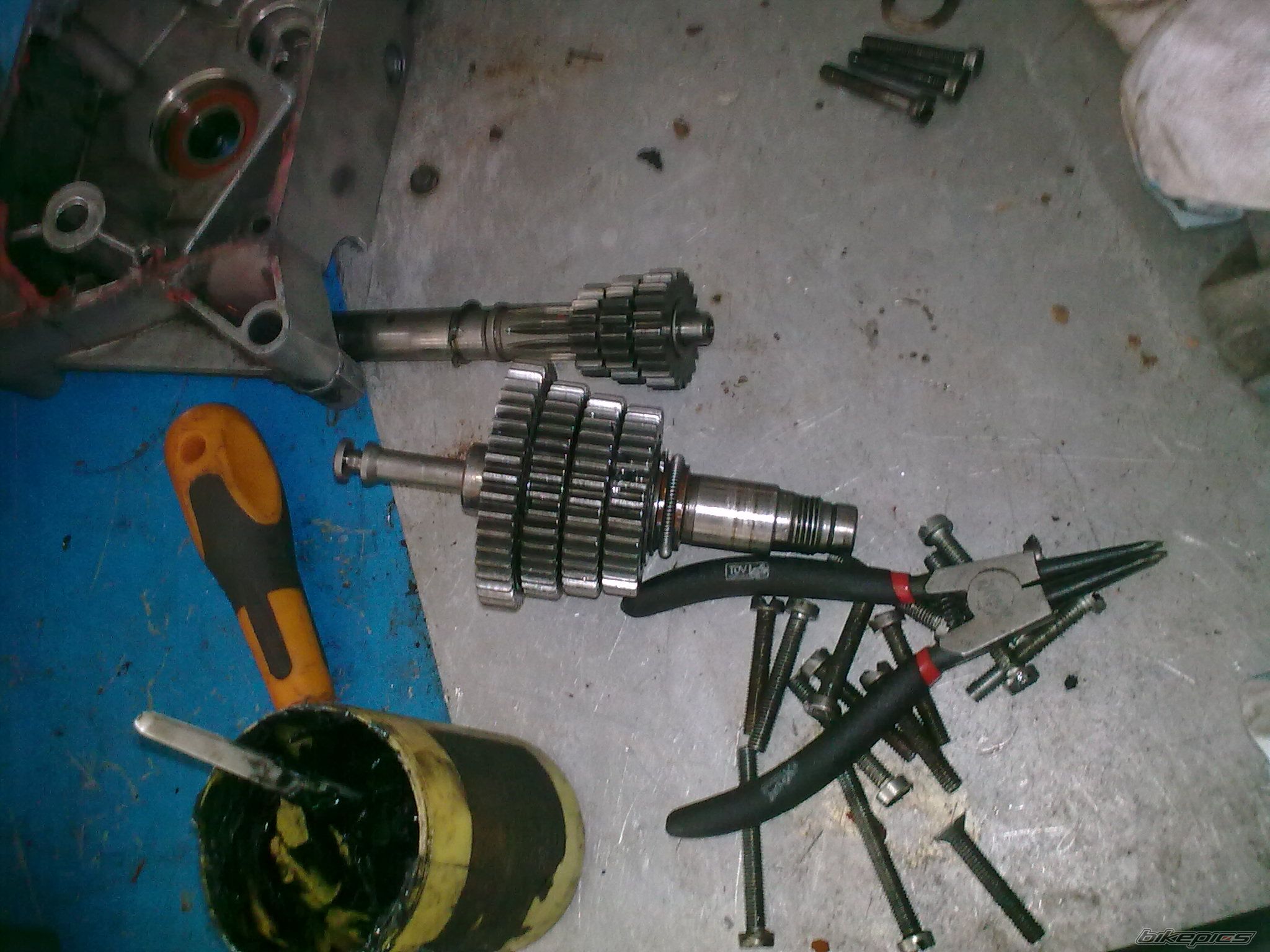Photo 2247739