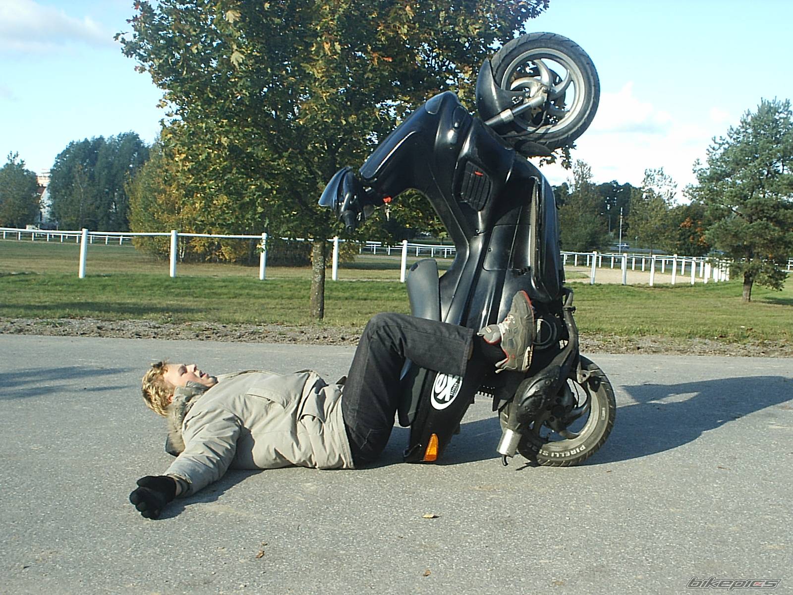 Photo 224779