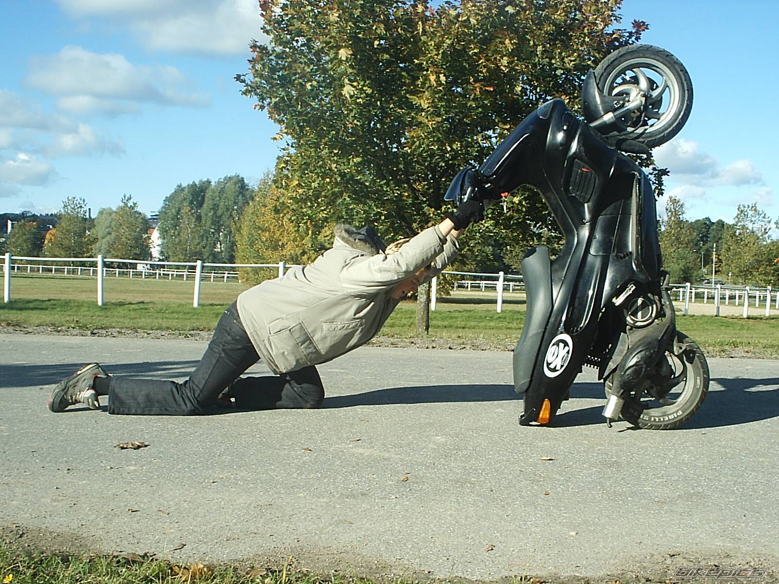 Photo 224780