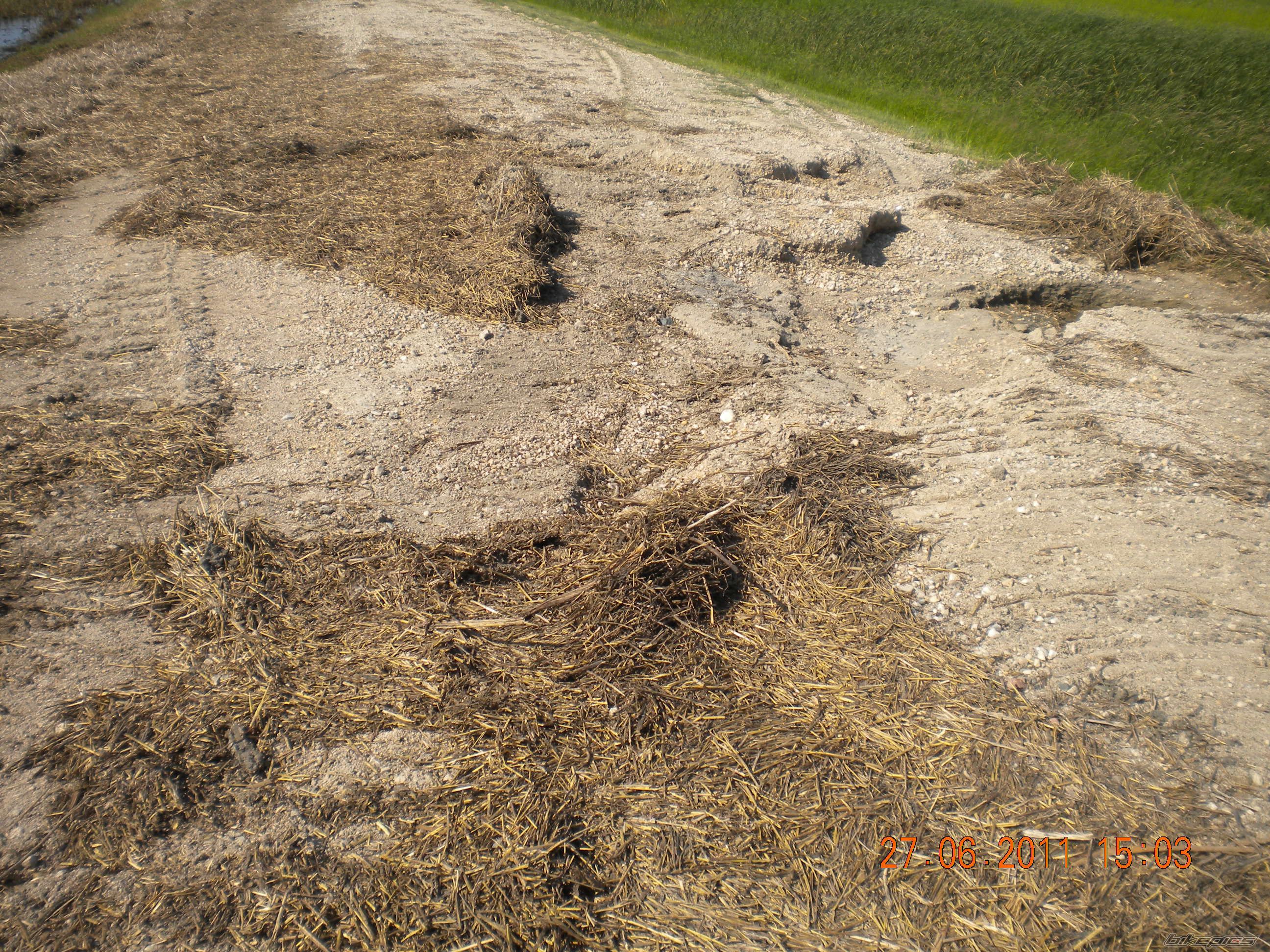 Photo 2247855