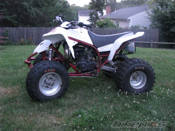Photo 2247884