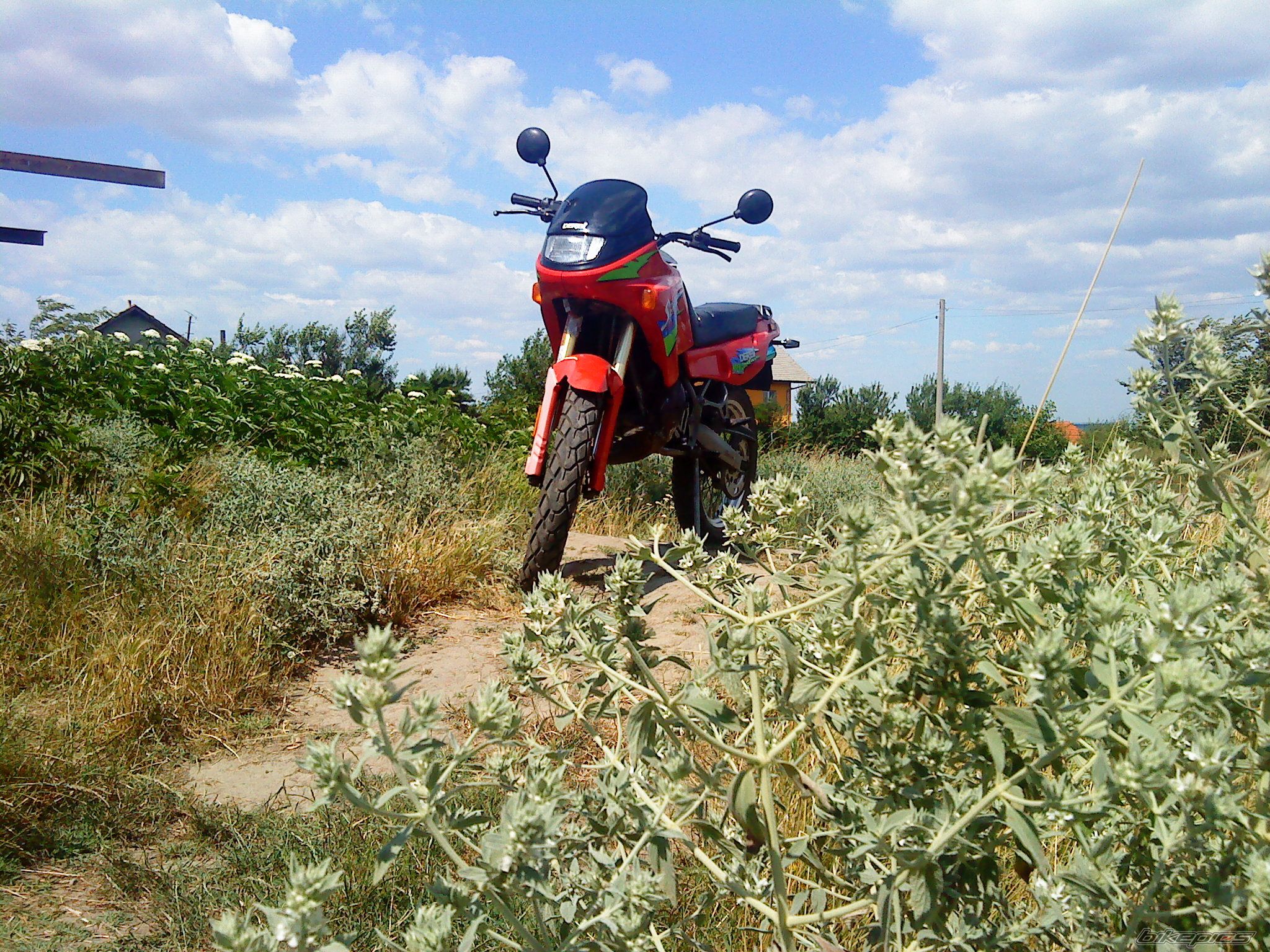 Photo 2248108
