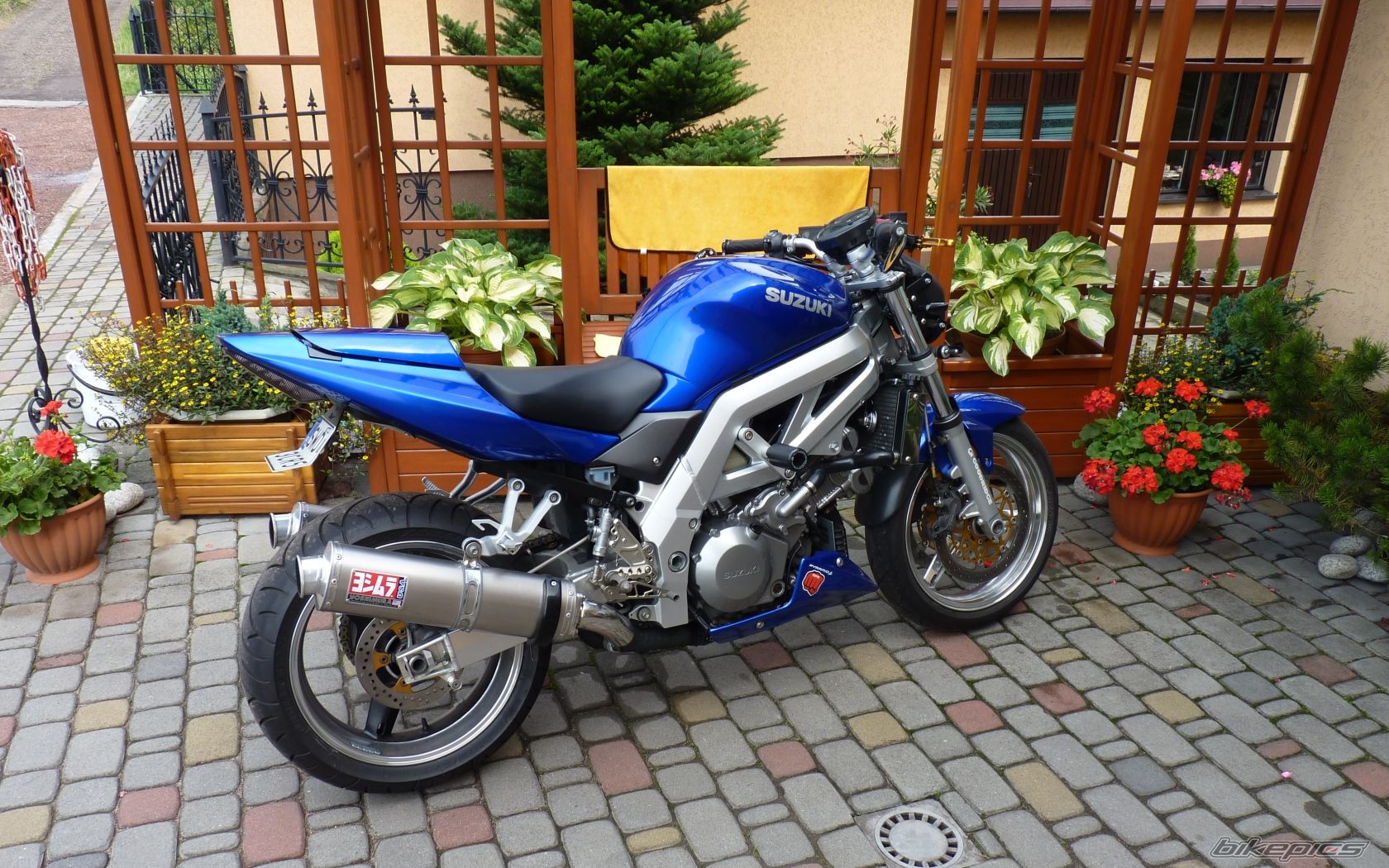 Photo 2248119