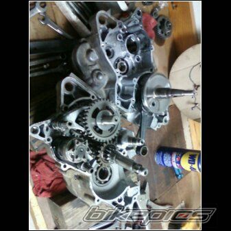 Photo 2248285