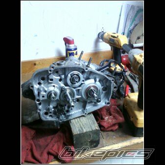 Photo 2248289